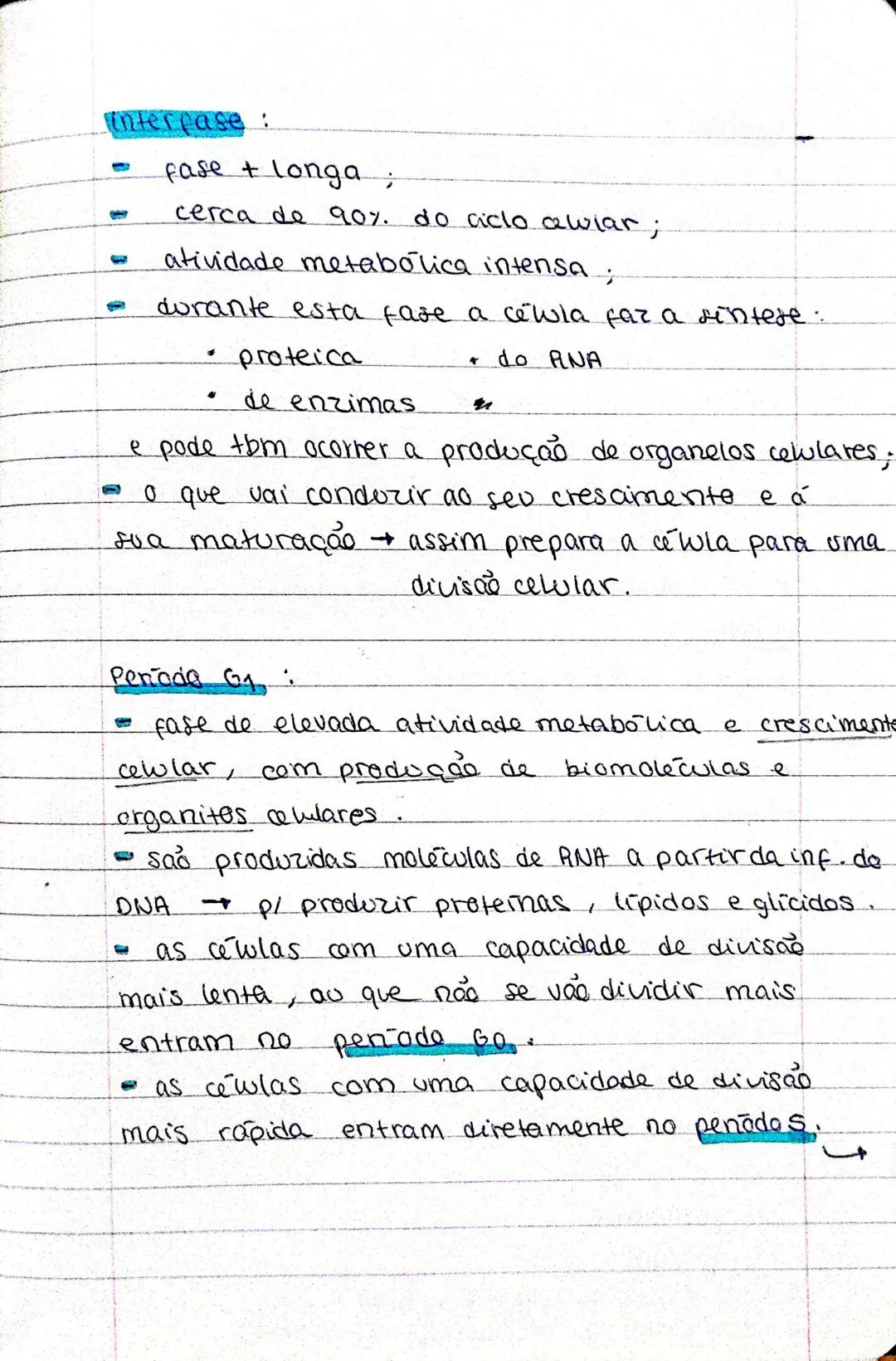 Biologia - 17° ADO
MITOSE
- as cewlas dividem-se para: crescer, reproduzir e
regenerar.
- cada cewla do origem a 2 cewlas-filhas,
que pode