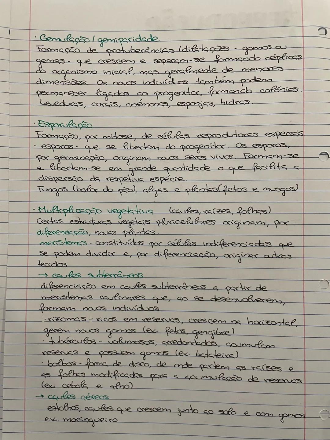 # REPRODUÇÃO
ASSEXUADA
Reprodução
→Capacidade de constituir descendência portadors
de genes dos progenitores
Função muito importante de t
