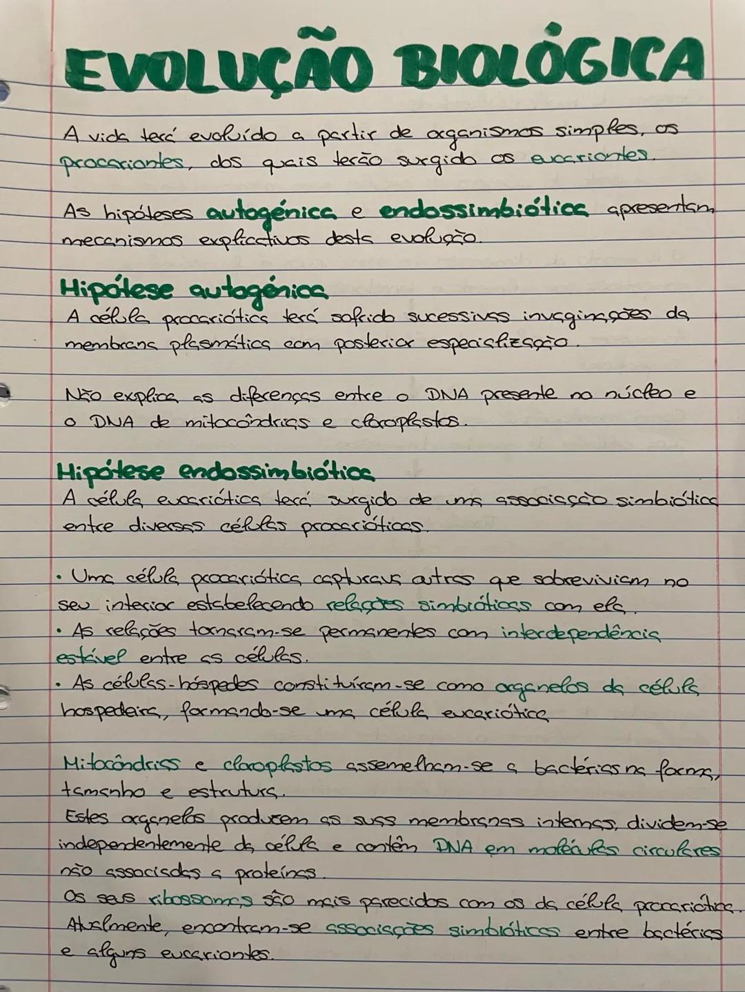# EVOLUÇÃO BIOLÓGICA
A vida terá evoluído a partir de organismos simples, os
procariontes, dos quais terão surgido os evcariontes.
As hipó