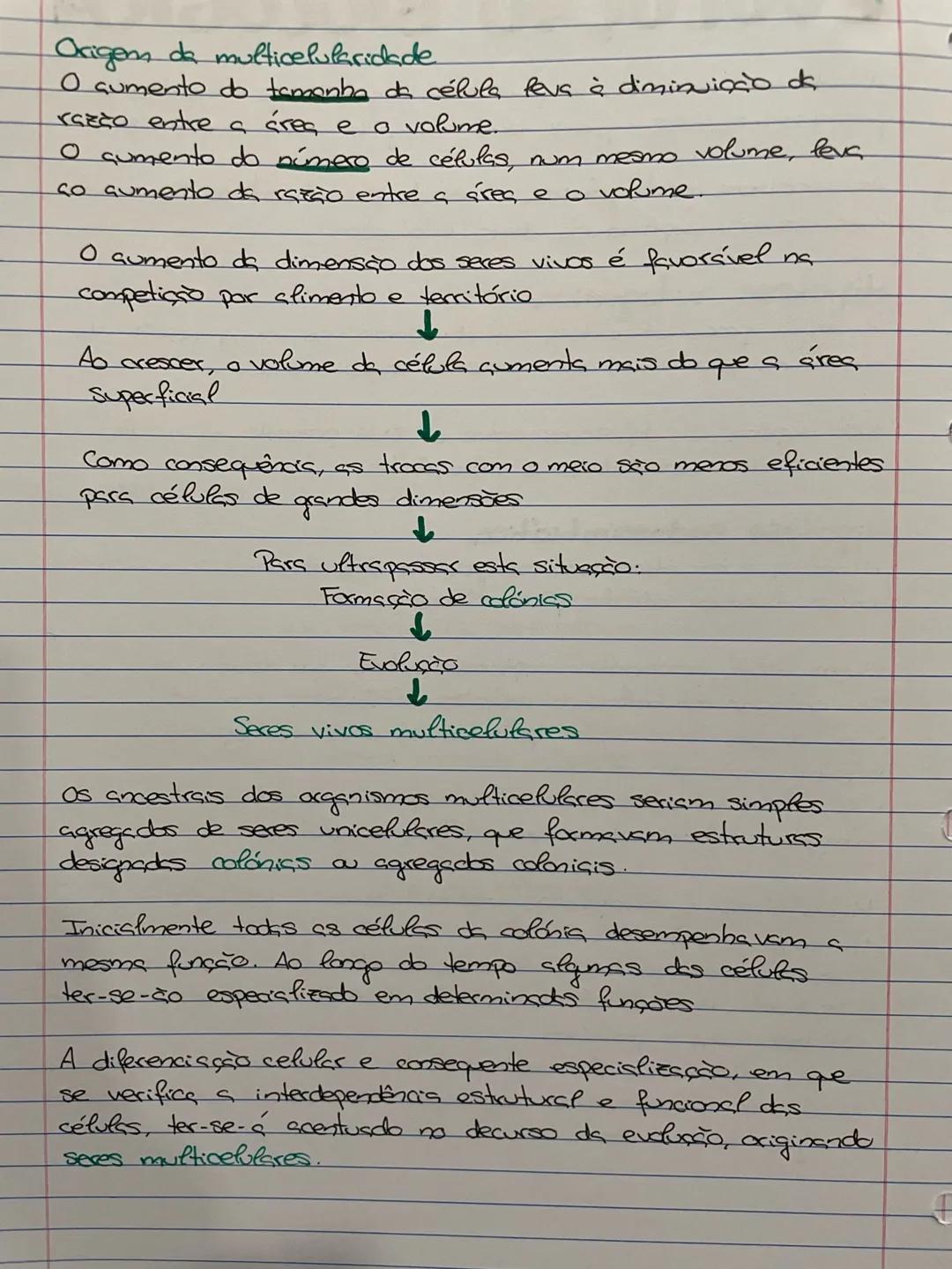# EVOLUÇÃO BIOLÓGICA
A vida terá evoluído a partir de organismos simples, os
procariontes, dos quais terão surgido os evcariontes.
As hipó