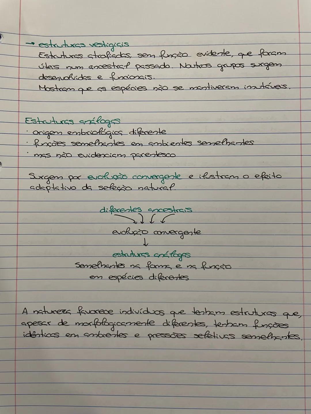 # EVOLUÇÃO BIOLÓGICA
A vida terá evoluído a partir de organismos simples, os
procariontes, dos quais terão surgido os evcariontes.
As hipó