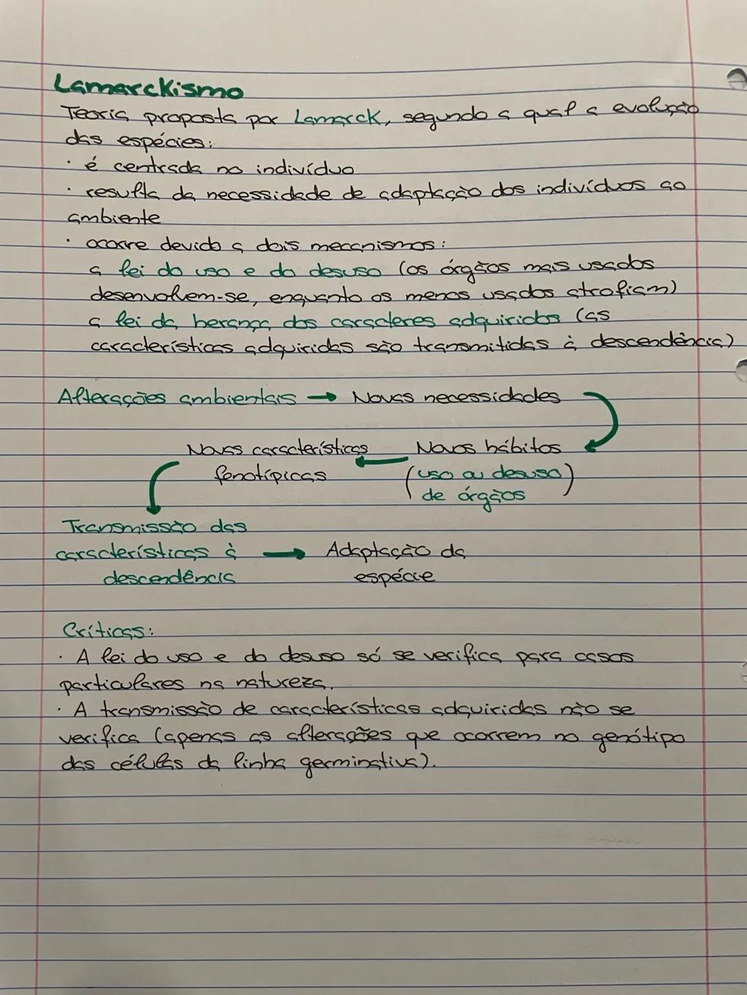# EVOLUÇÃO BIOLÓGICA
A vida terá evoluído a partir de organismos simples, os
procariontes, dos quais terão surgido os evcariontes.
As hipó