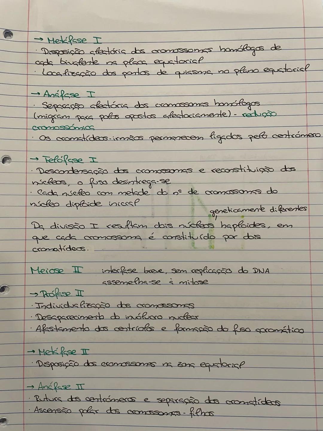 REPRODUÇÃO
SEXUADA
fecundação → duplicação
cromossômica
células (n)
haploides
ovo - diploide
(2n)
meiose → redução cromossômica,
Fecundação