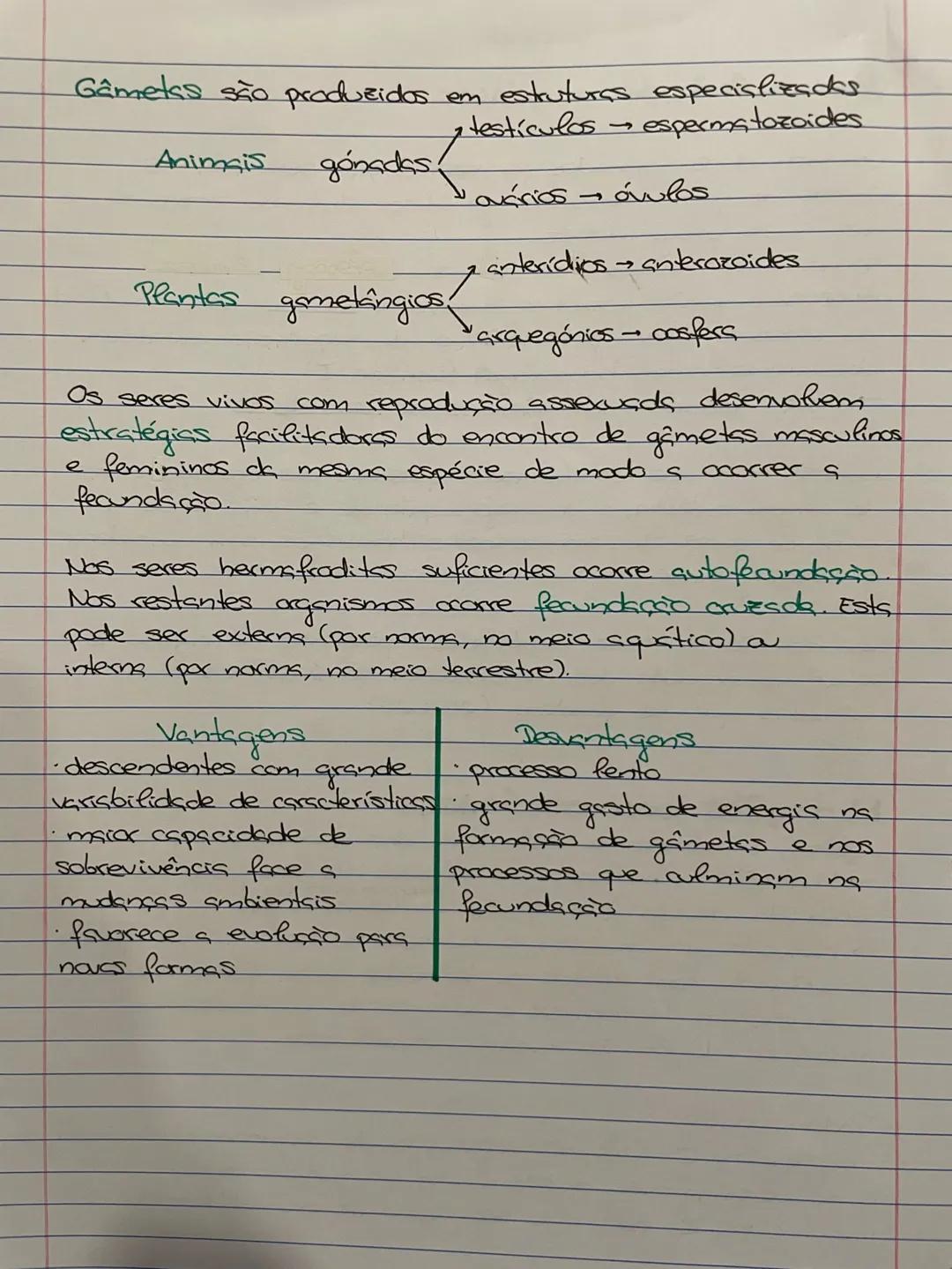 REPRODUÇÃO
SEXUADA
fecundação → duplicação
cromossômica
células (n)
haploides
ovo - diploide
(2n)
meiose → redução cromossômica,
Fecundação