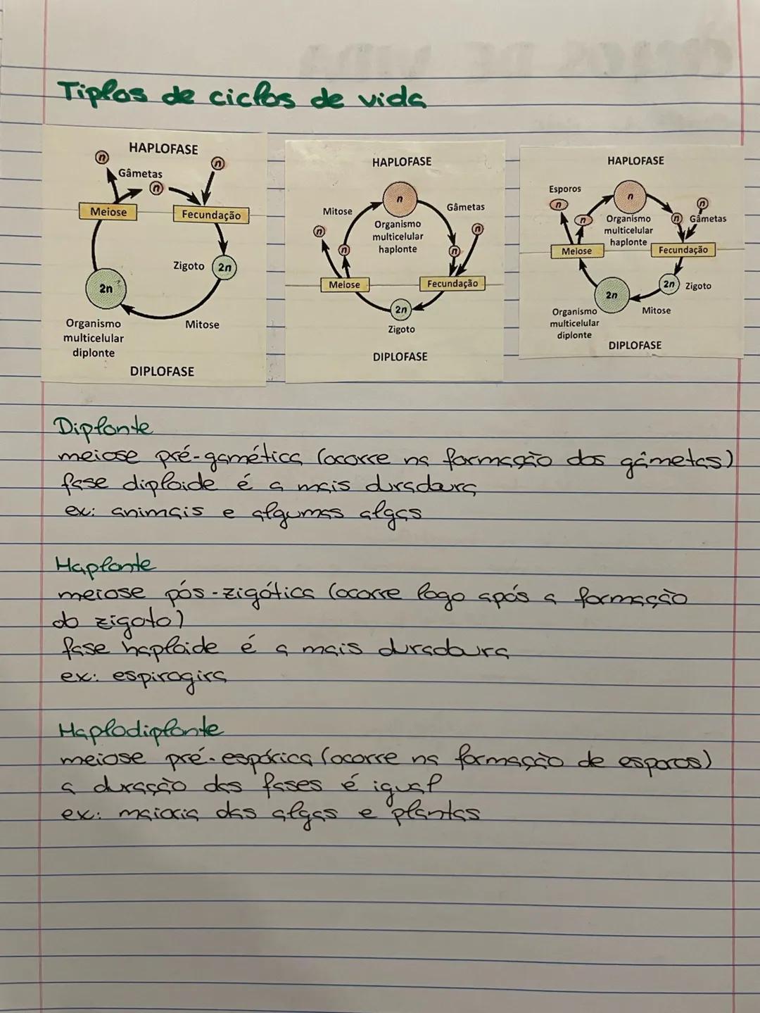 CICLOS DE VIDA
Ciclo de vids
Sequência de acontecimentos que se verificam na vids
de um ser vivo, desde que se forma até que produe
descendê