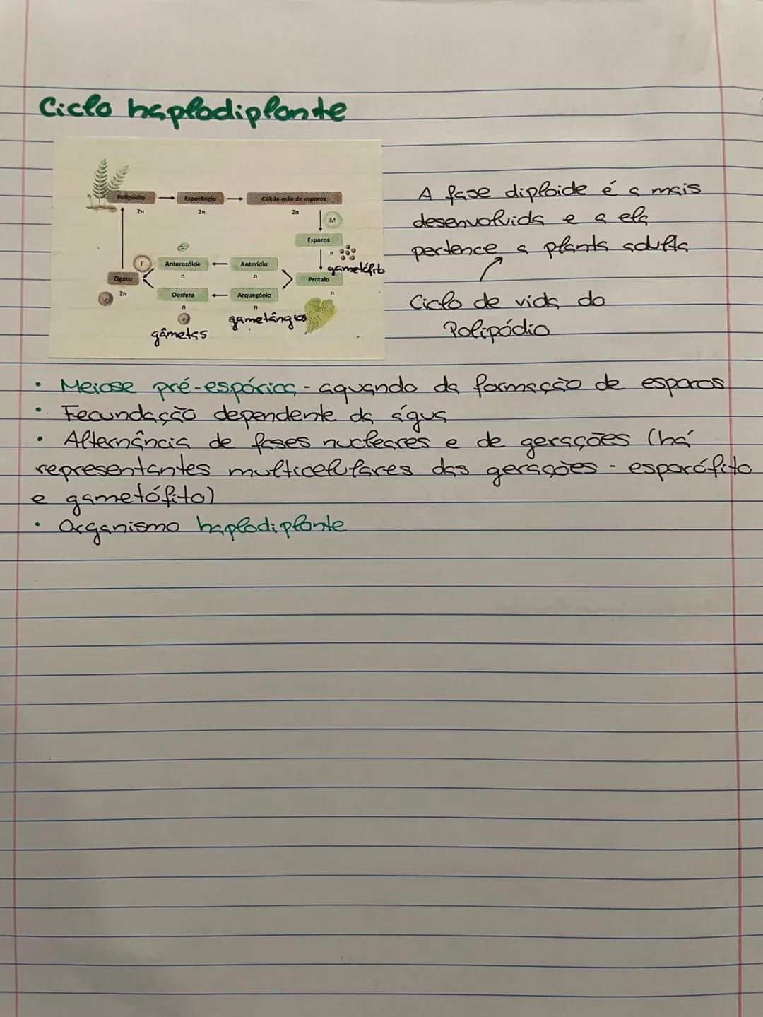 CICLOS DE VIDA
Ciclo de vids
Sequência de acontecimentos que se verificam na vids
de um ser vivo, desde que se forma até que produe
descendê
