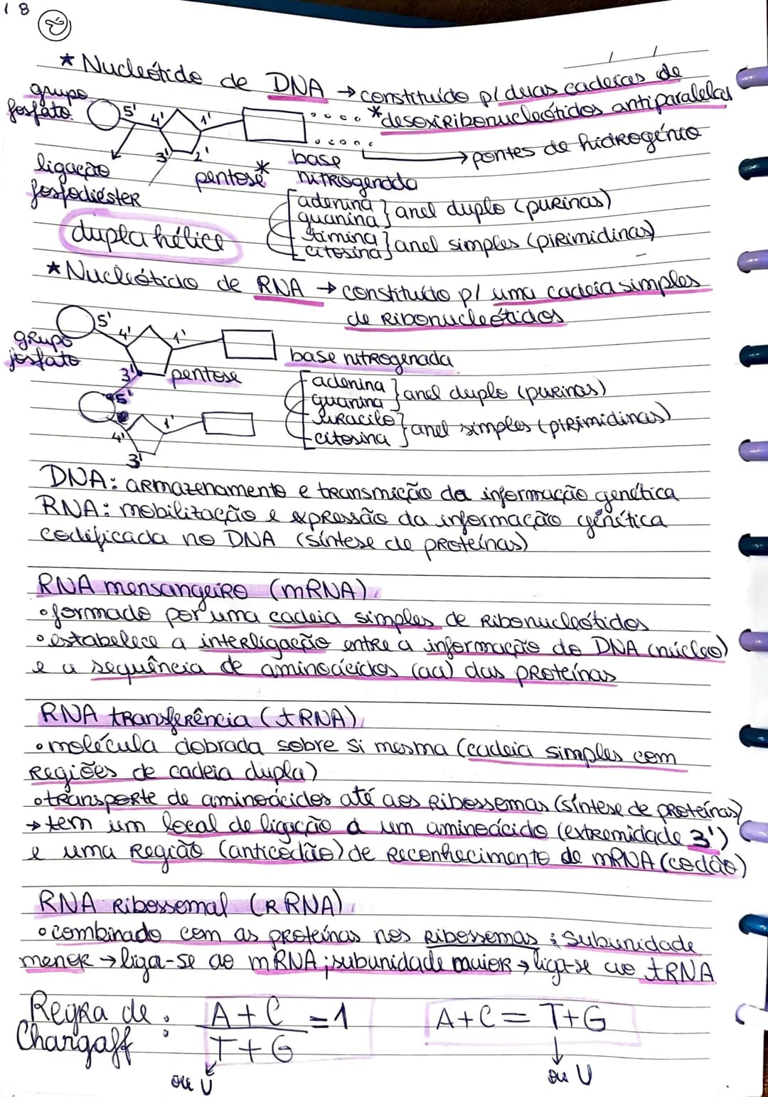Moléculas orgânicas e inorgânicas – página 3