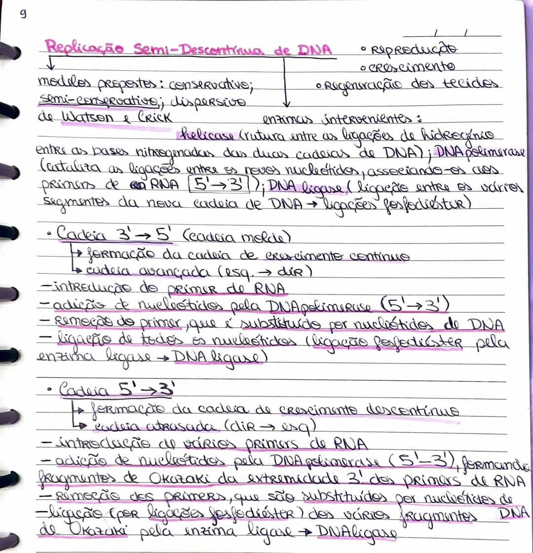 Replicação de DNA – página 1
