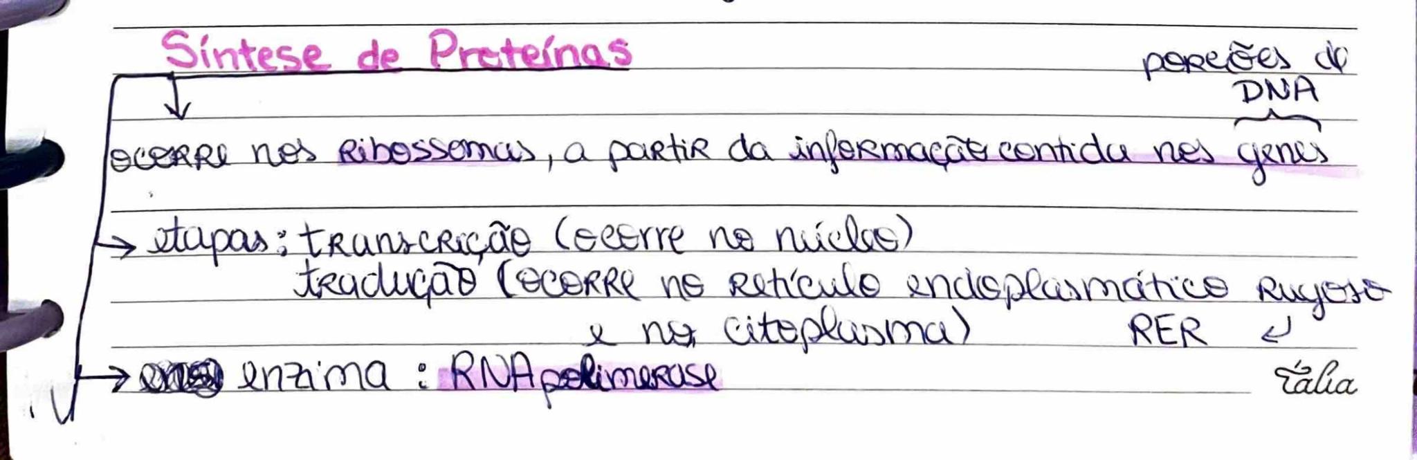Síntese de Proteínas
poreiões de
DNA
ocerre nos Ribossomas, a partir da informaçâte contida nes genes
stupas: transcrição (ecerre no núcl