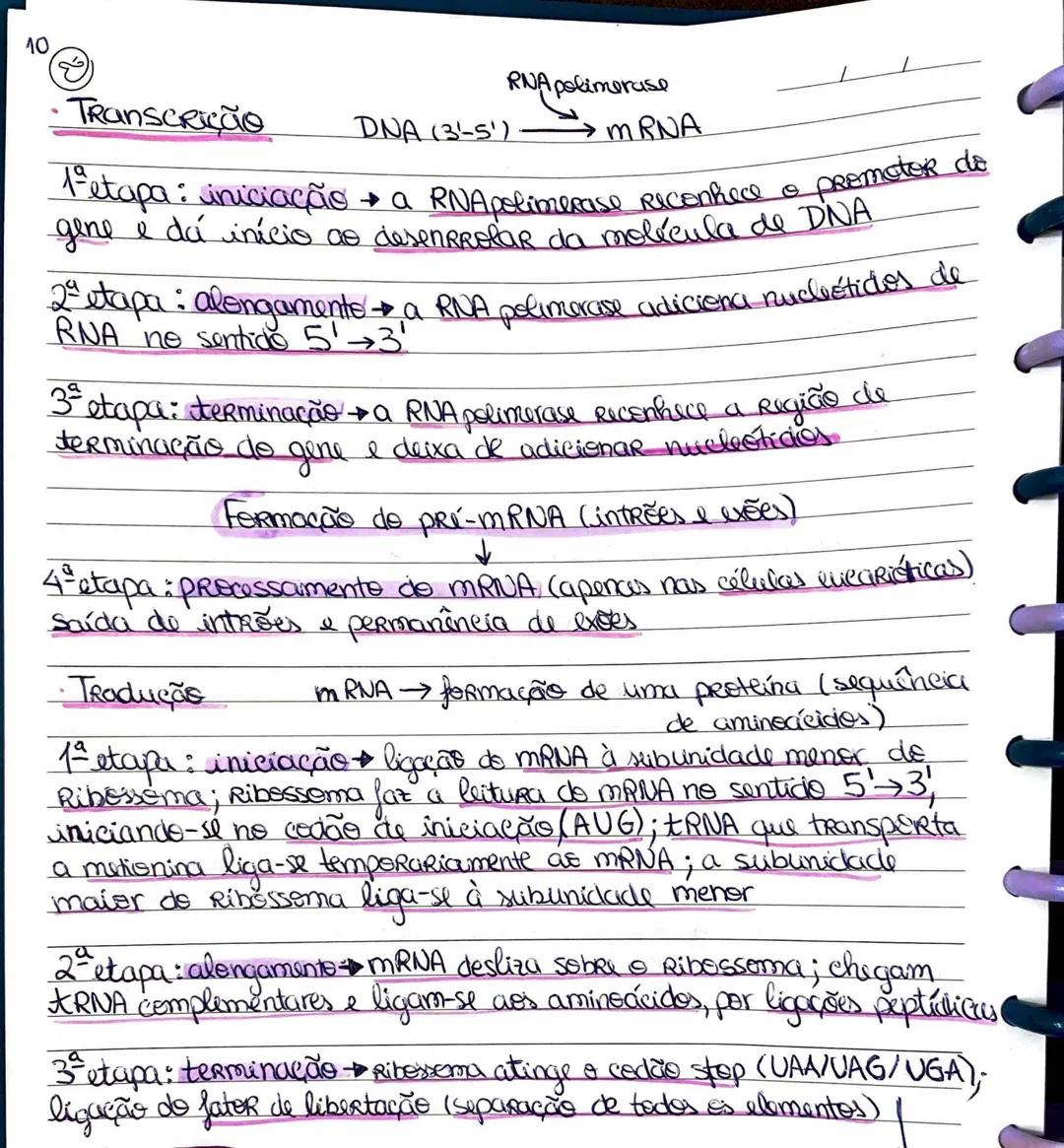 Síntese de Proteínas
poreiões de
DNA
ocerre nos Ribossomas, a partir da informaçâte contida nes genes
stupas: transcrição (ecerre no núcl