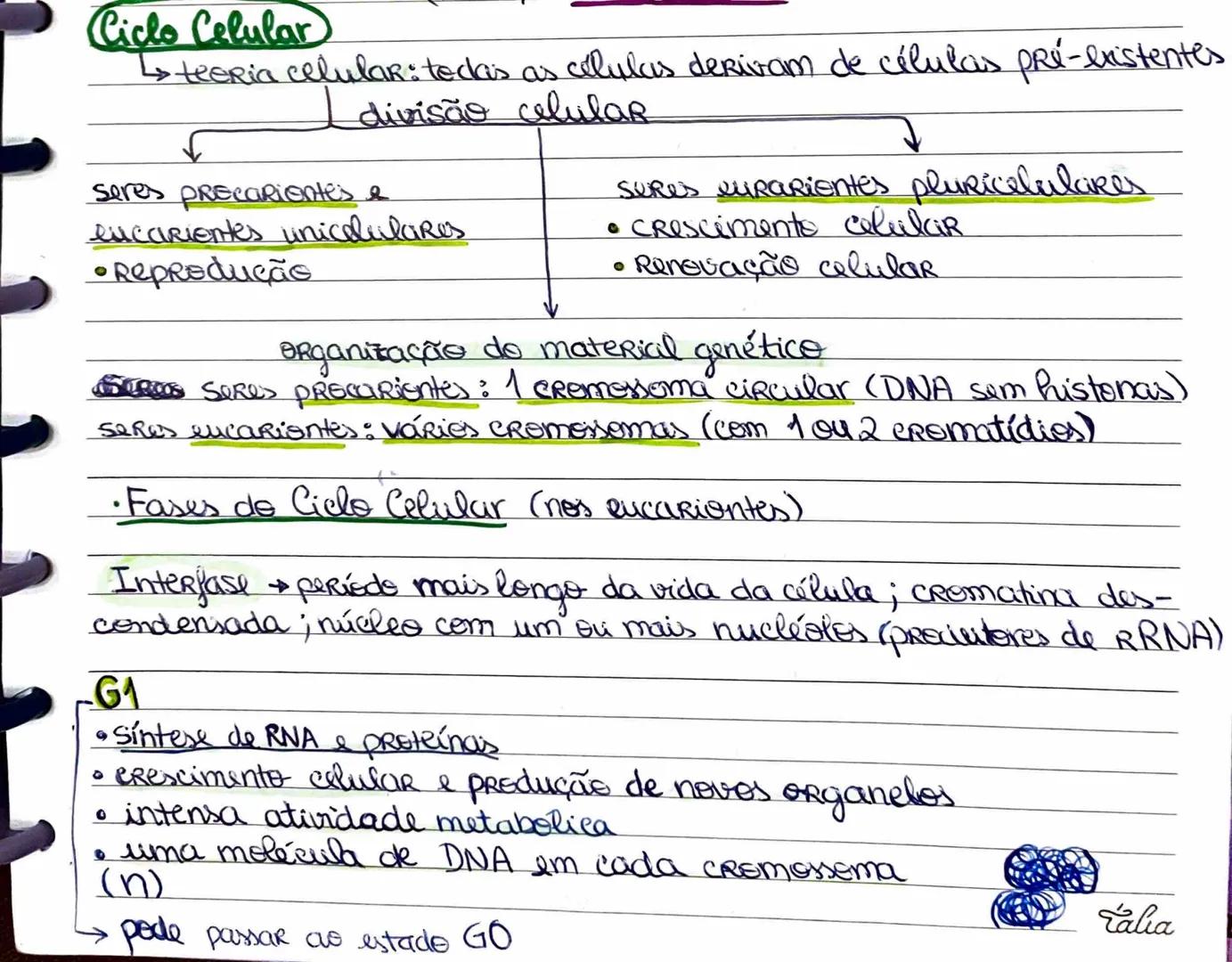 # Ciclo
clo Celular
↳ teeria celular: todas as células derivam de células pré-existentes
divisão celular
seres PRECORientes e
lucariont