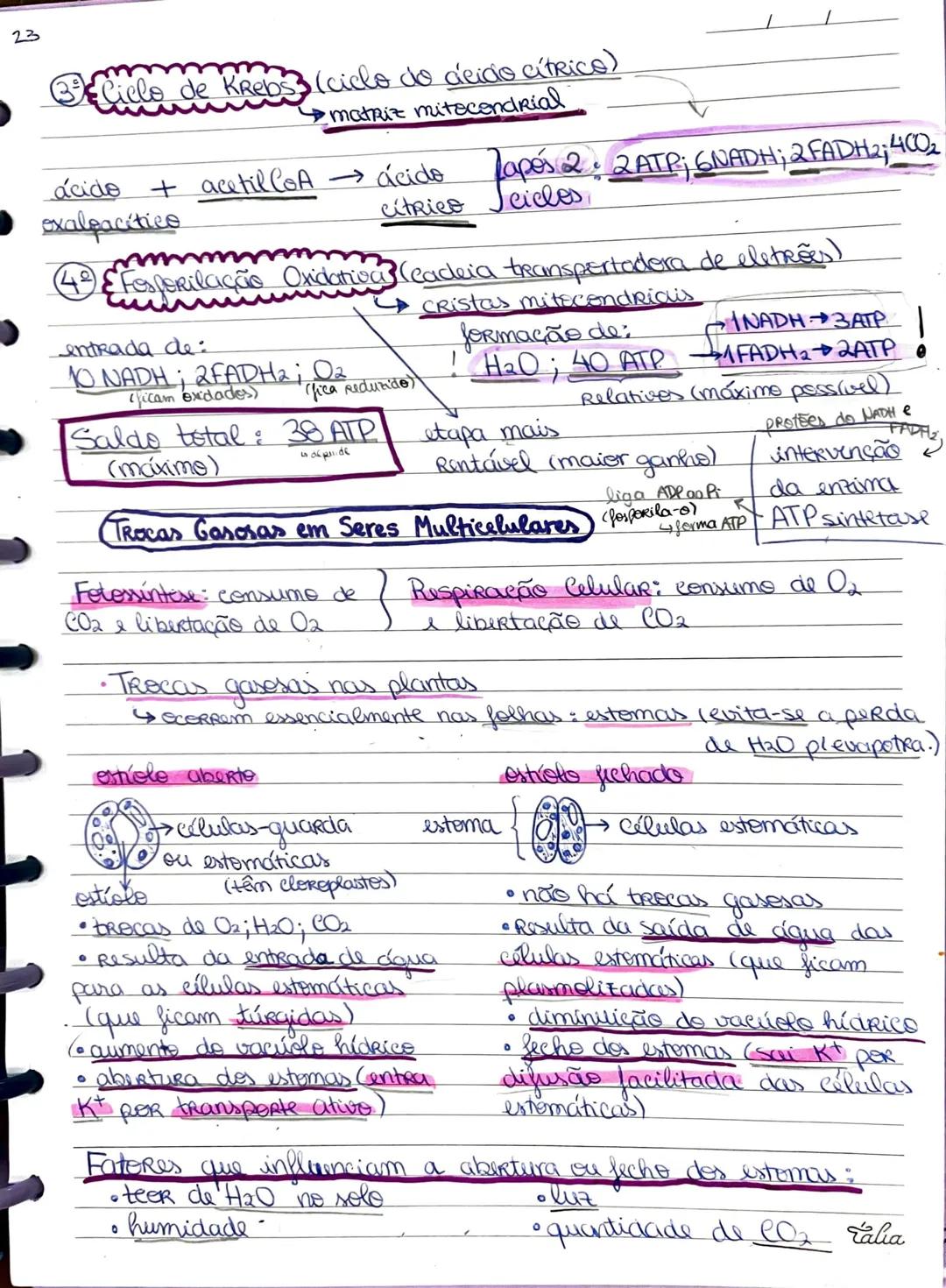 Produção de Energia nas Células
Fermentação → principal fonte de energia para os seres anaerobicos
→ocorre no citored (citoplasma/hialoplasm