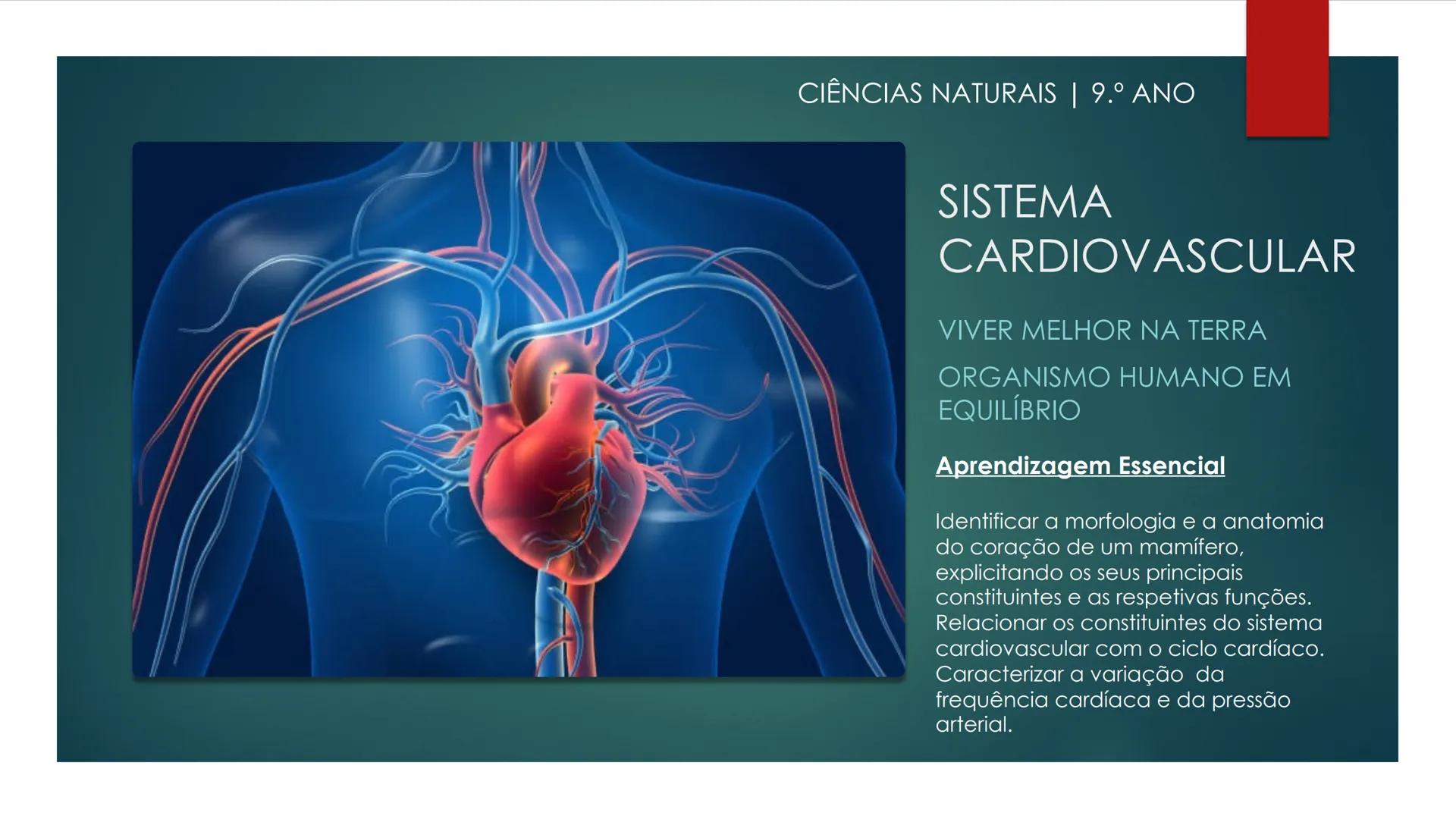 CIÊNCIAS NATURAIS | 9.° ANO
SISTEMA
CARDIOVASCULAR
VIVER MELHOR NA TERRA
ORGANISMO HUMANO EM
EQUILÍBRIO
Aprendizagem Essencial
Identific