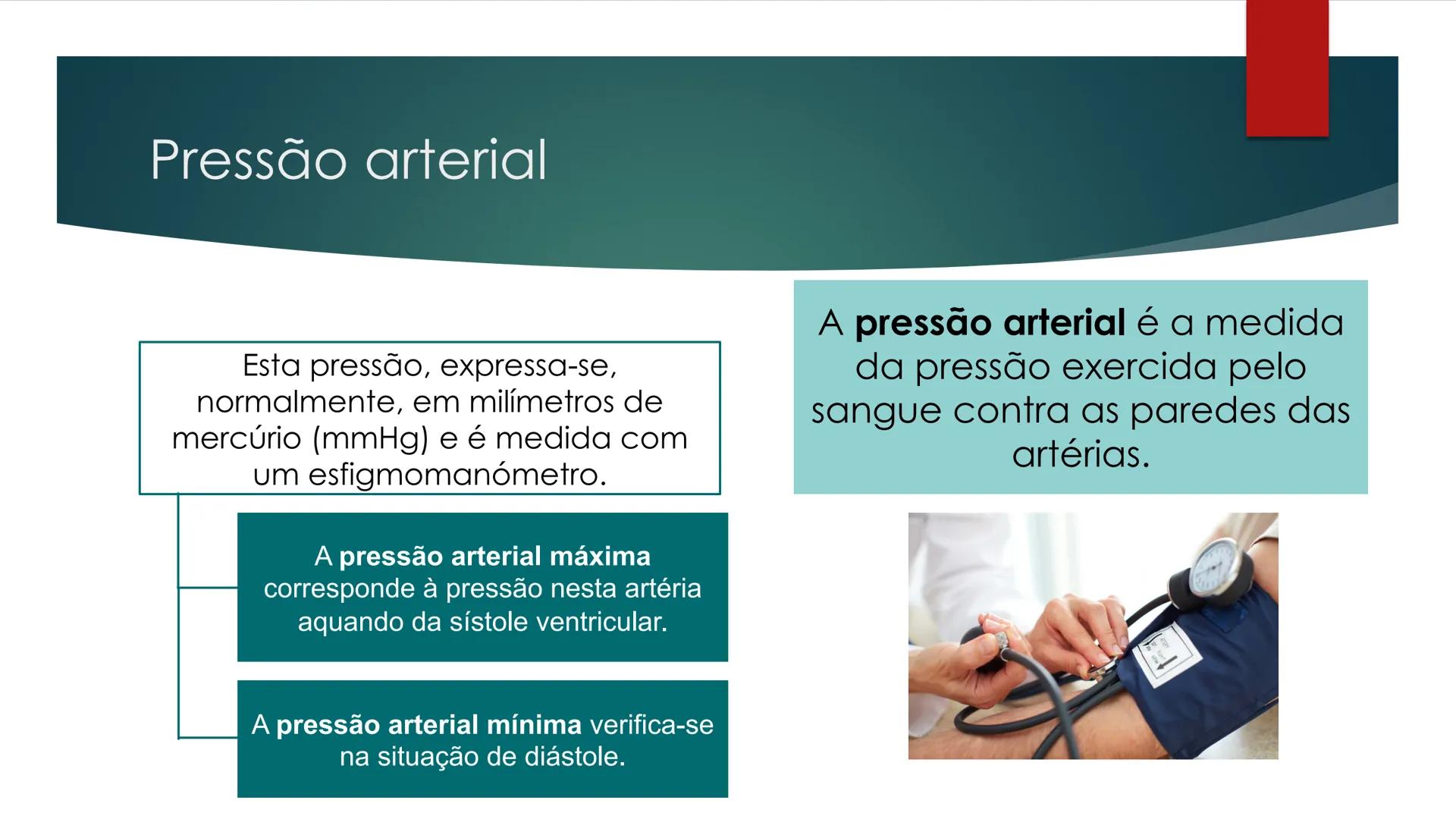 CIÊNCIAS NATURAIS | 9.° ANO
SISTEMA
CARDIOVASCULAR
VIVER MELHOR NA TERRA
ORGANISMO HUMANO EM
EQUILÍBRIO
Aprendizagem Essencial
Identific