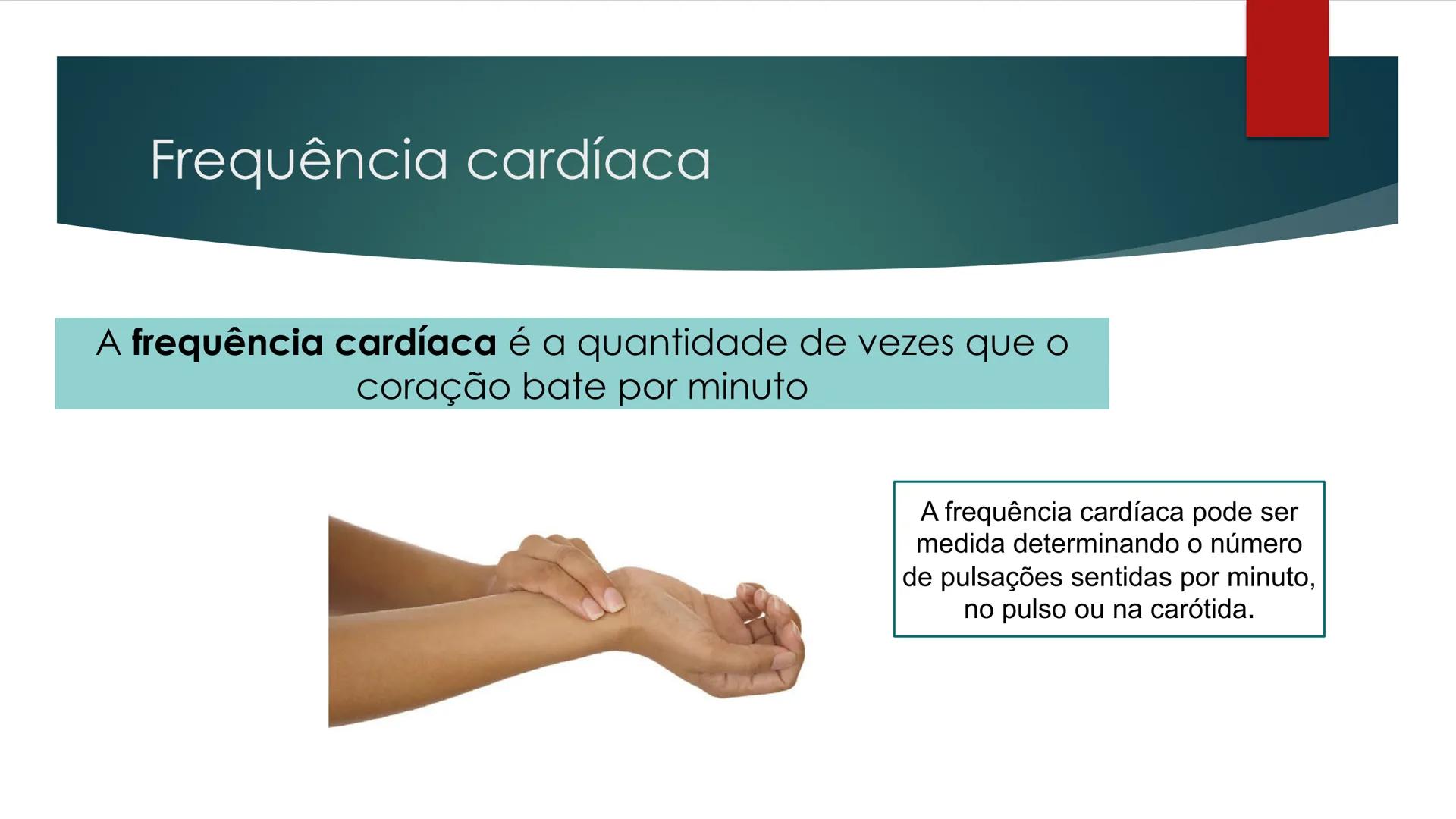 CIÊNCIAS NATURAIS | 9.° ANO
SISTEMA
CARDIOVASCULAR
VIVER MELHOR NA TERRA
ORGANISMO HUMANO EM
EQUILÍBRIO
Aprendizagem Essencial
Identific