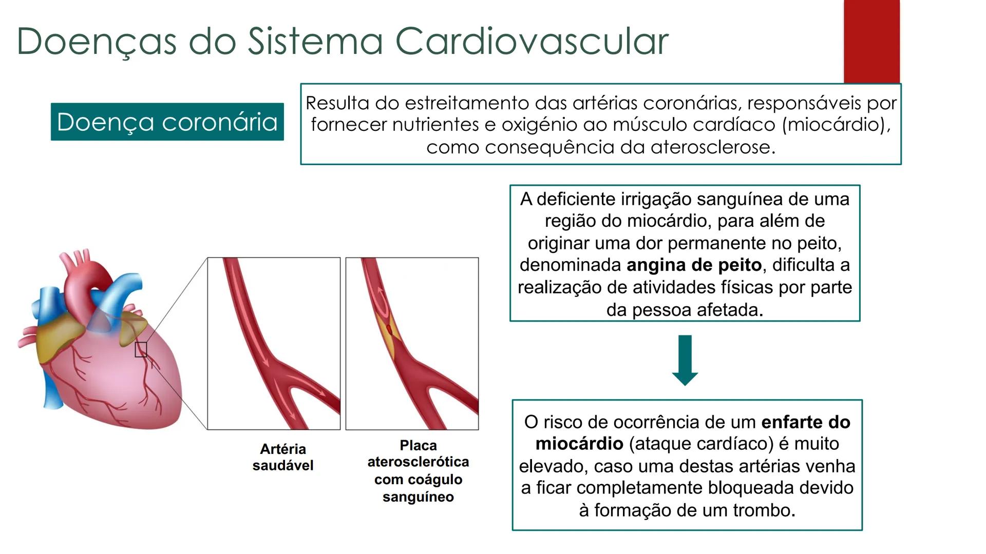 CIÊNCIAS NATURAIS | 9.° ANO
SISTEMA
CARDIOVASCULAR
VIVER MELHOR NA TERRA
ORGANISMO HUMANO EM
EQUILÍBRIO
Aprendizagem Essencial
Identific