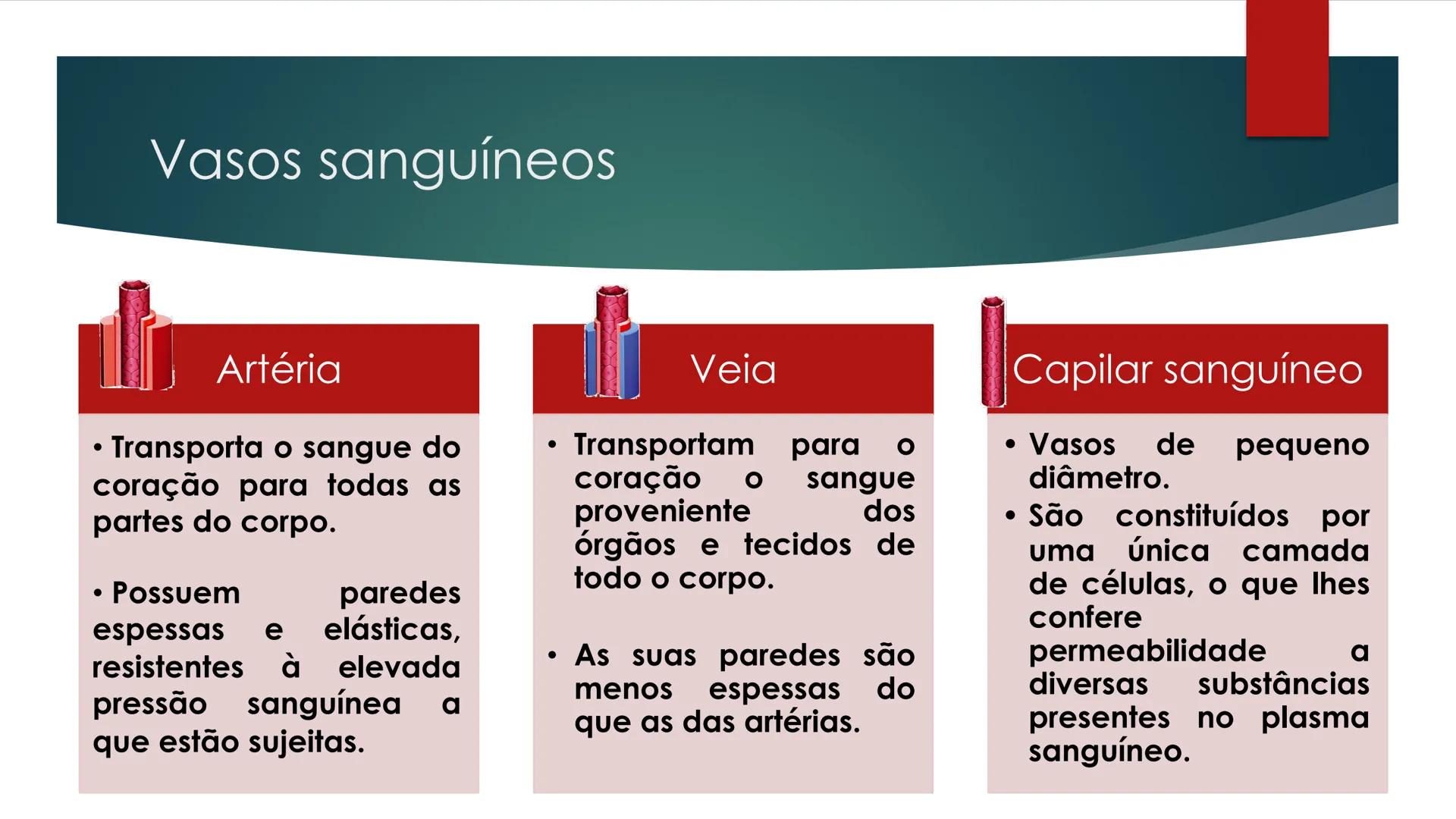 CIÊNCIAS NATURAIS | 9.° ANO
SISTEMA
CARDIOVASCULAR
VIVER MELHOR NA TERRA
ORGANISMO HUMANO EM
EQUILÍBRIO
Aprendizagem Essencial
Identific