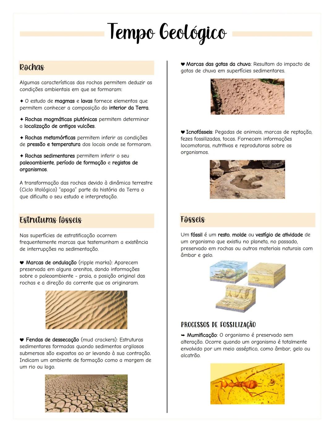 # Terra e Subsistemas
Sistemas
Um sistema é um conjunto de elementos que se
relacionam e que podem ser analisados como um todo.
SISTEMAS