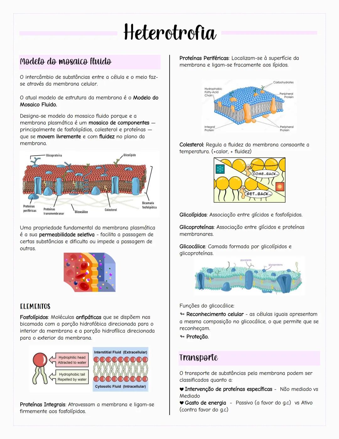 ## Ecologia
### Biosfera
A biosfera é um sistema que inclui todos os seres vivos, os
ambientes que habitam e as relações estabelecidas entr