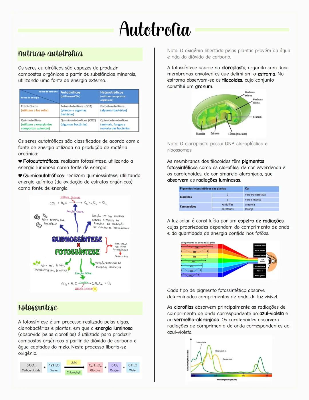 ## Ecologia
### Biosfera
A biosfera é um sistema que inclui todos os seres vivos, os
ambientes que habitam e as relações estabelecidas entr
