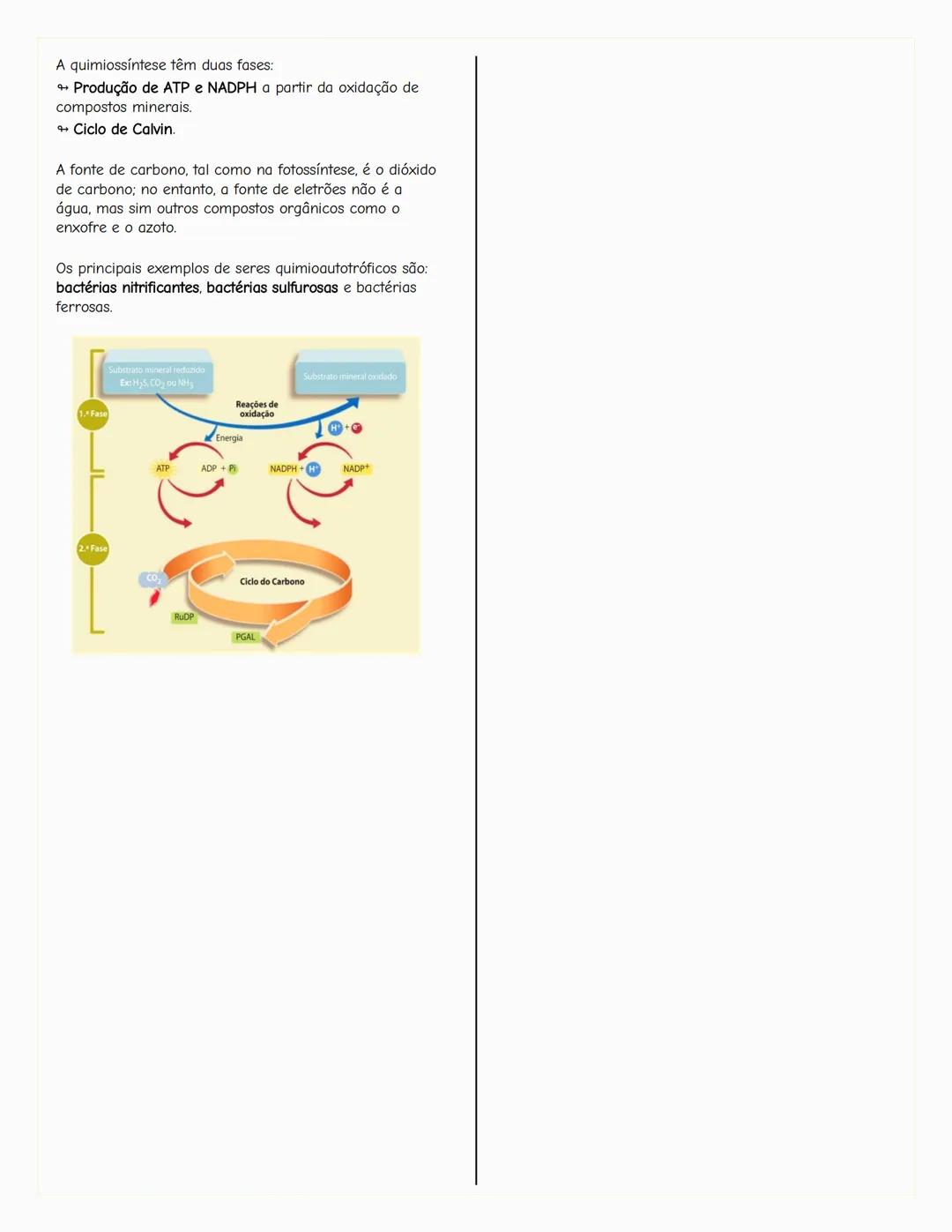 ## Ecologia
### Biosfera
A biosfera é um sistema que inclui todos os seres vivos, os
ambientes que habitam e as relações estabelecidas entr