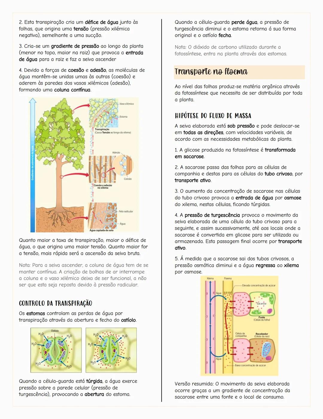 ## Ecologia
### Biosfera
A biosfera é um sistema que inclui todos os seres vivos, os
ambientes que habitam e as relações estabelecidas entr