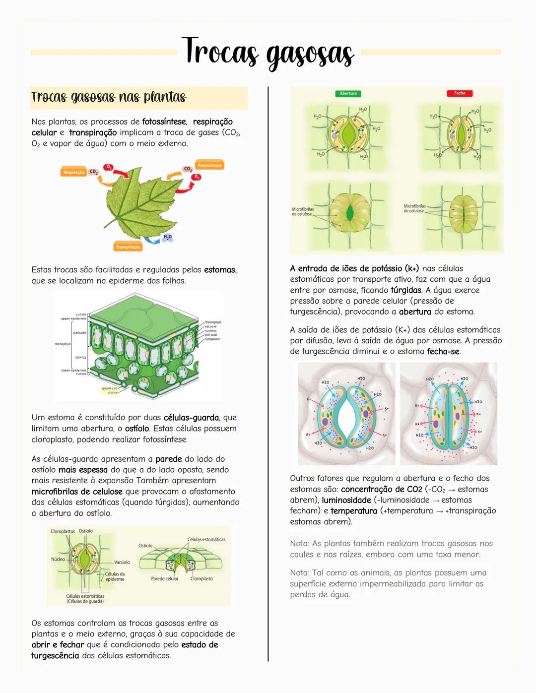 ## Ecologia
### Biosfera
A biosfera é um sistema que inclui todos os seres vivos, os
ambientes que habitam e as relações estabelecidas entr