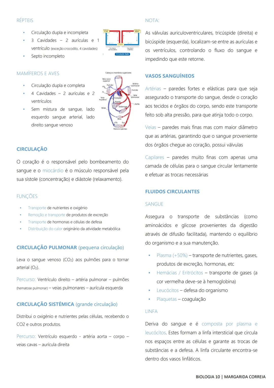# DIVERSIDADE NA BIOSFERA
Todos os seres vivos, desde os mais simples aos mais
complexos, incluindo o ser humano, bem como os
fatores abiót