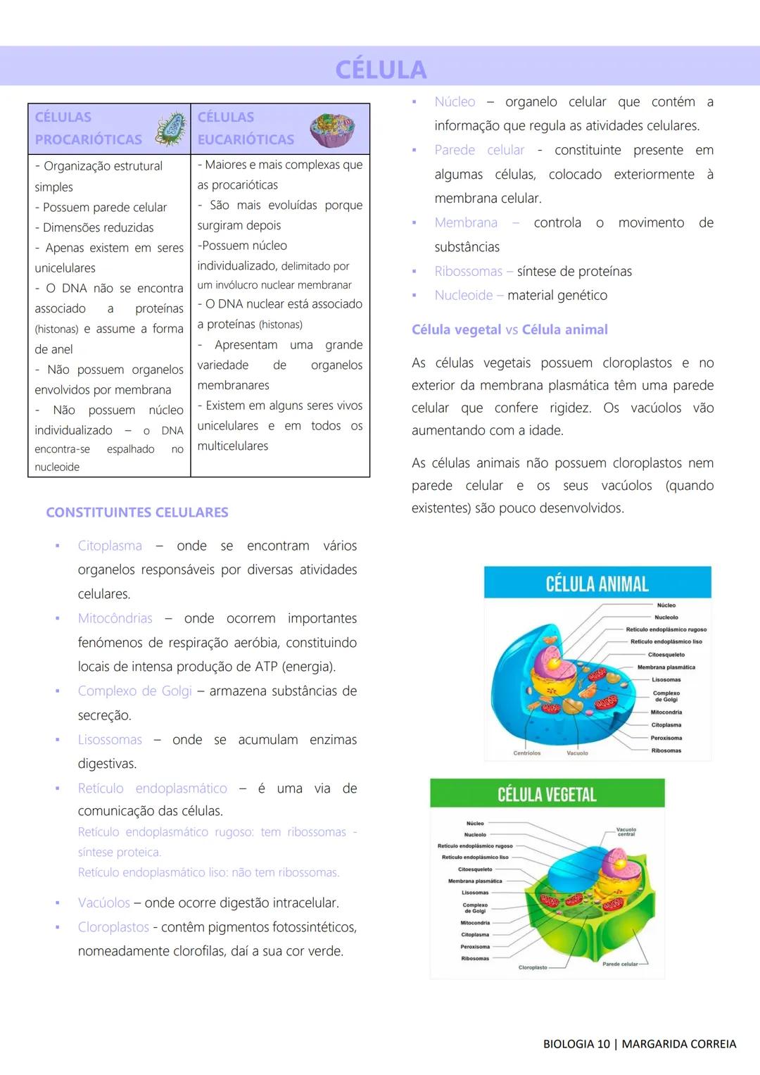 # DIVERSIDADE NA BIOSFERA
Todos os seres vivos, desde os mais simples aos mais
complexos, incluindo o ser humano, bem como os
fatores abiót