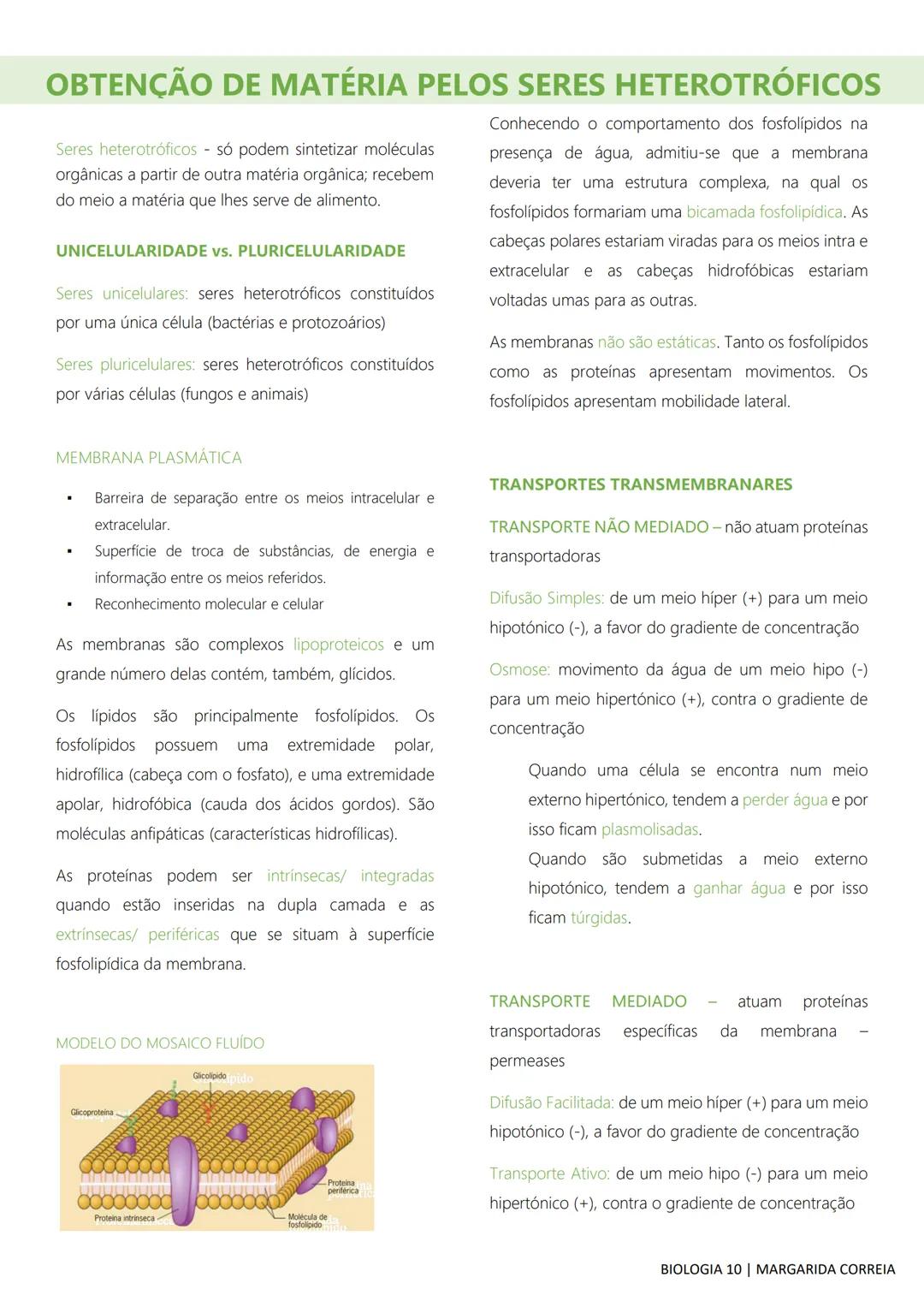 # DIVERSIDADE NA BIOSFERA
Todos os seres vivos, desde os mais simples aos mais
complexos, incluindo o ser humano, bem como os
fatores abiót