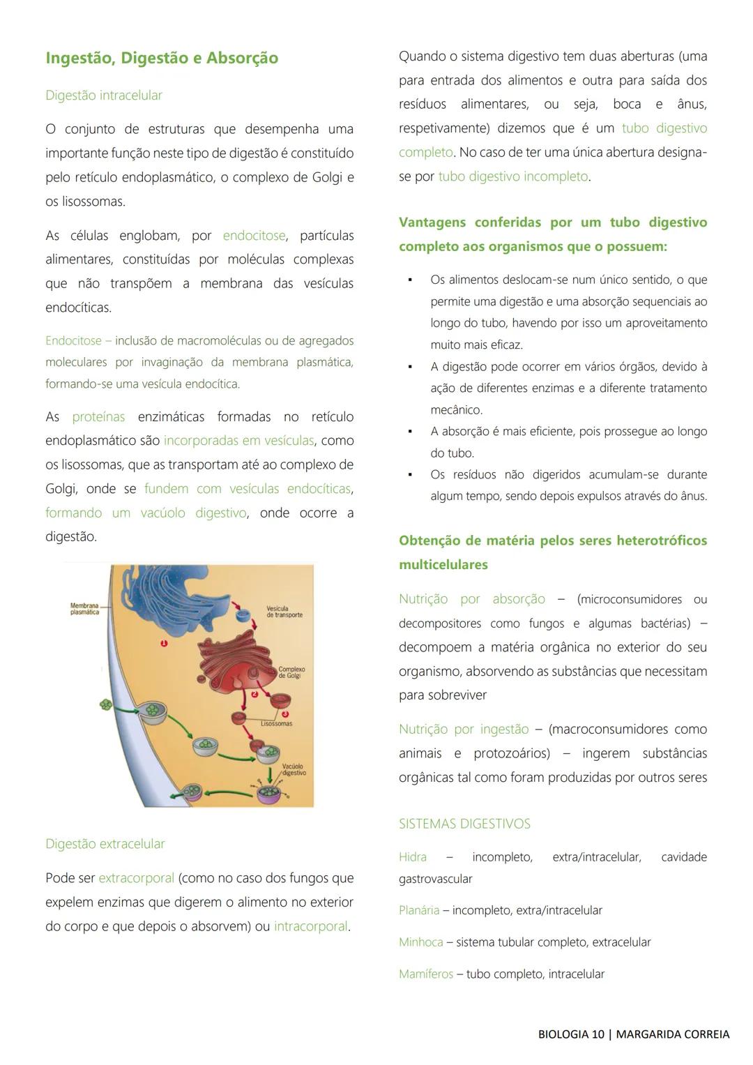 # DIVERSIDADE NA BIOSFERA
Todos os seres vivos, desde os mais simples aos mais
complexos, incluindo o ser humano, bem como os
fatores abiót