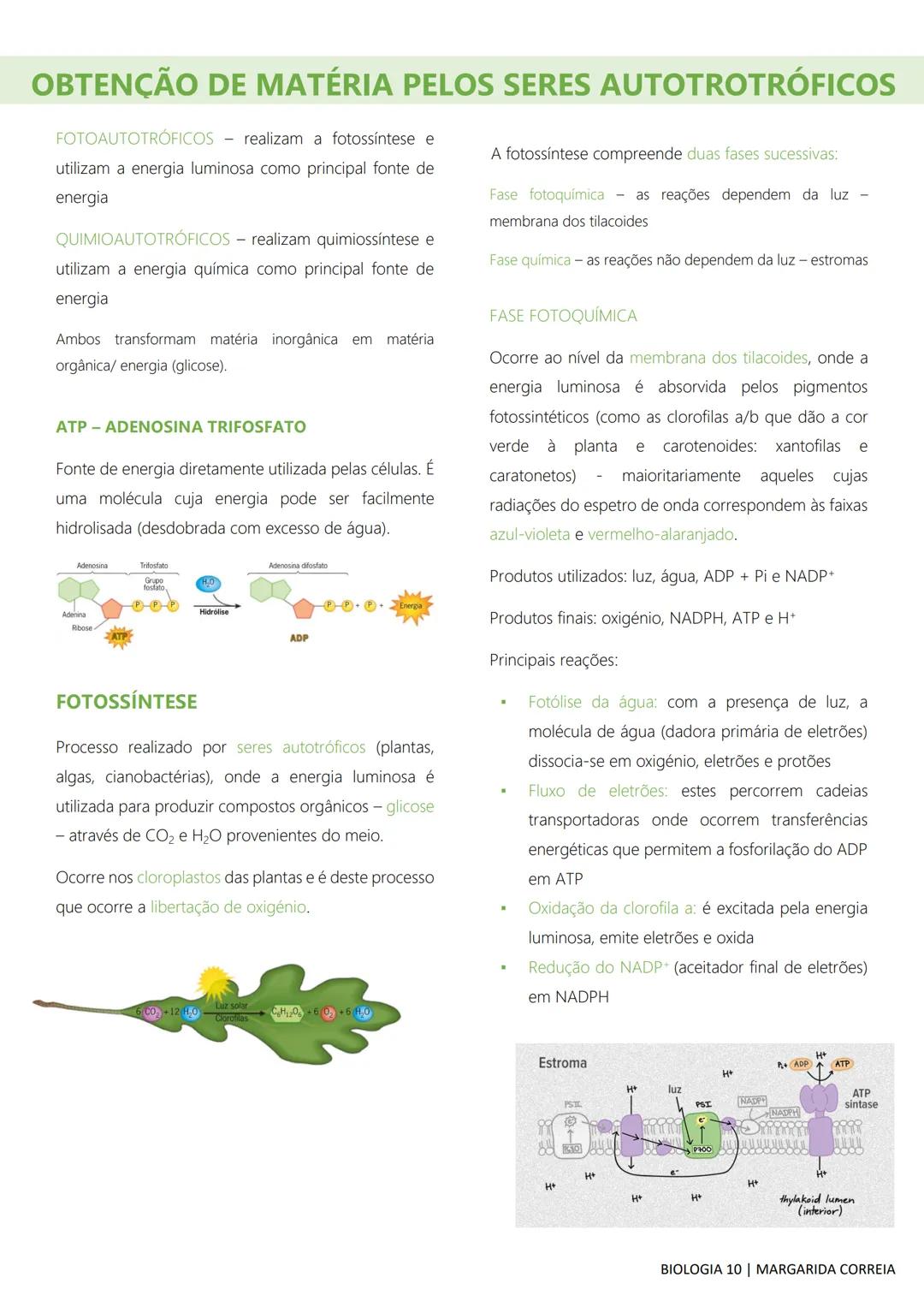# DIVERSIDADE NA BIOSFERA
Todos os seres vivos, desde os mais simples aos mais
complexos, incluindo o ser humano, bem como os
fatores abiót