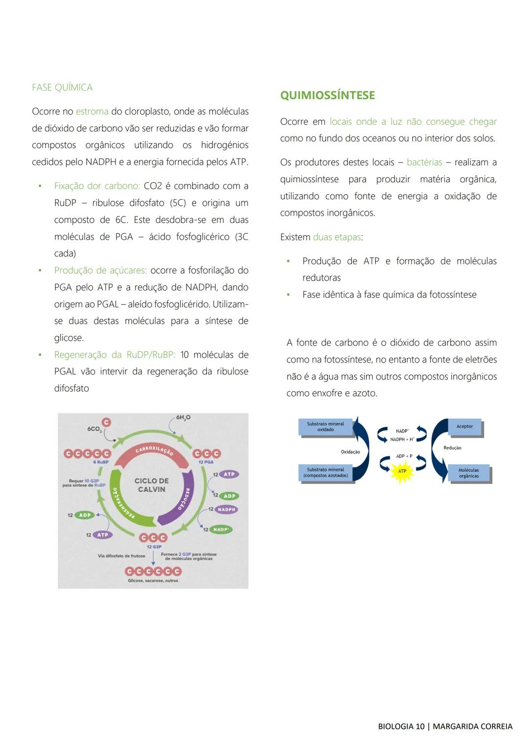 # DIVERSIDADE NA BIOSFERA
Todos os seres vivos, desde os mais simples aos mais
complexos, incluindo o ser humano, bem como os
fatores abiót