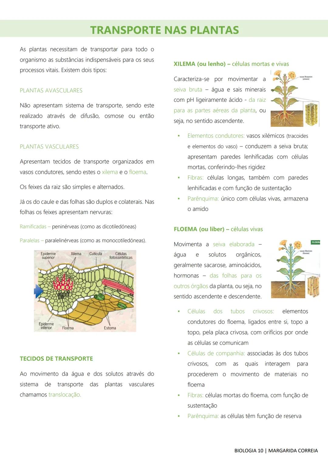 # DIVERSIDADE NA BIOSFERA
Todos os seres vivos, desde os mais simples aos mais
complexos, incluindo o ser humano, bem como os
fatores abiót