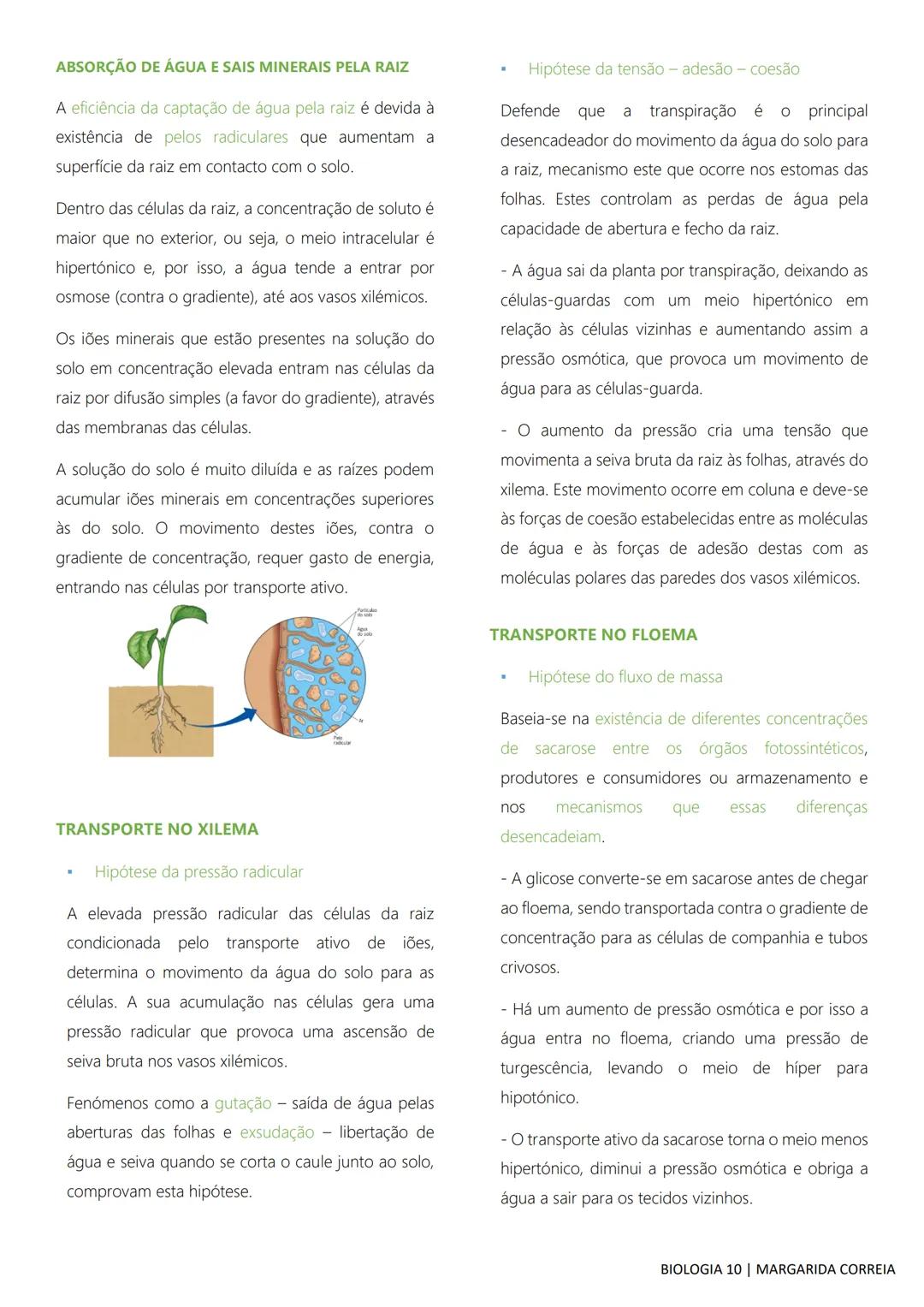 # DIVERSIDADE NA BIOSFERA
Todos os seres vivos, desde os mais simples aos mais
complexos, incluindo o ser humano, bem como os
fatores abiót