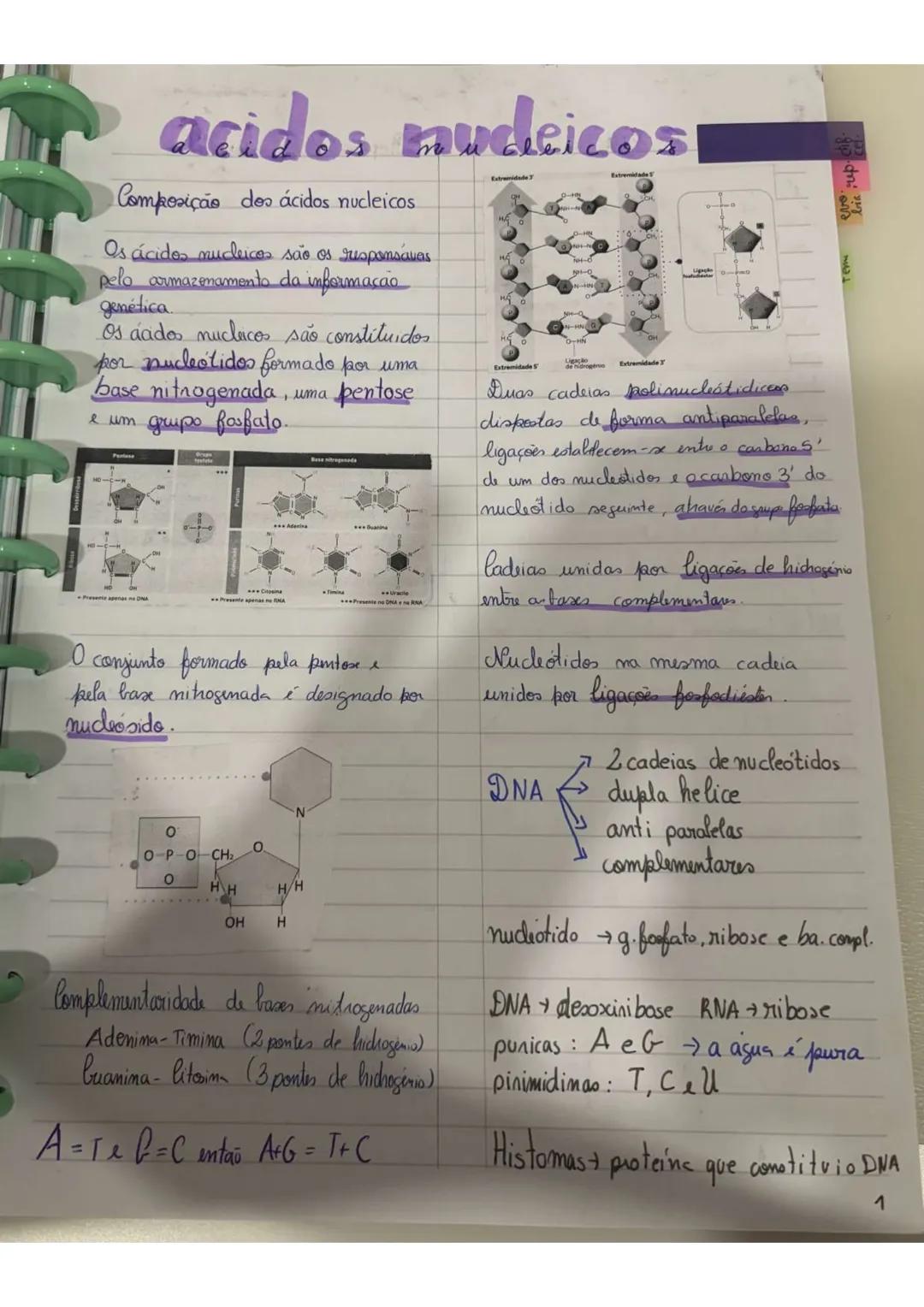 acidos mudeicos
Composição dos ácidos nucleicos
Os ácidos nucleicos são os responsavas
pelo armazenamento da informação
genética
Os áados