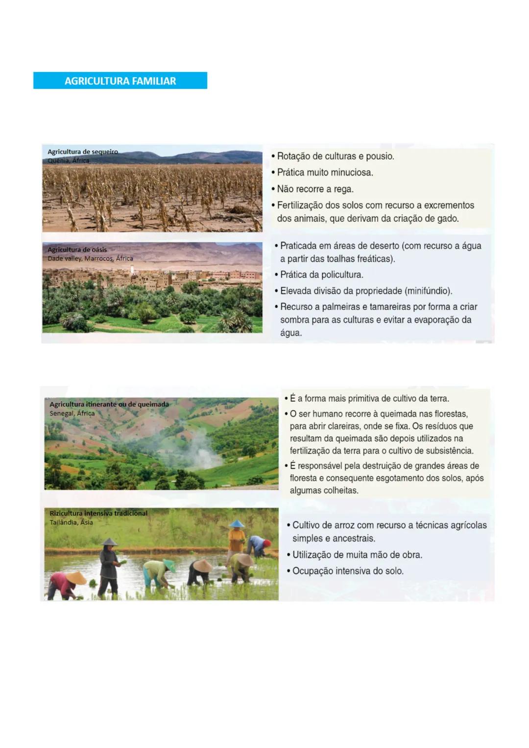 # Objetivos para o teste sumativos - Agricultura e Pecuária
- Identificar e enumerar os objetivos da PAC (Política agrícola Comum);
1. garan