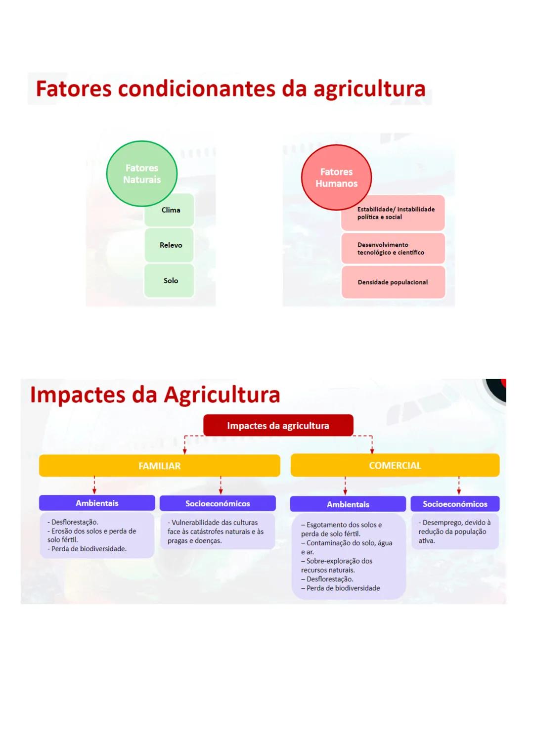 # Objetivos para o teste sumativos - Agricultura e Pecuária
- Identificar e enumerar os objetivos da PAC (Política agrícola Comum);
1. garan