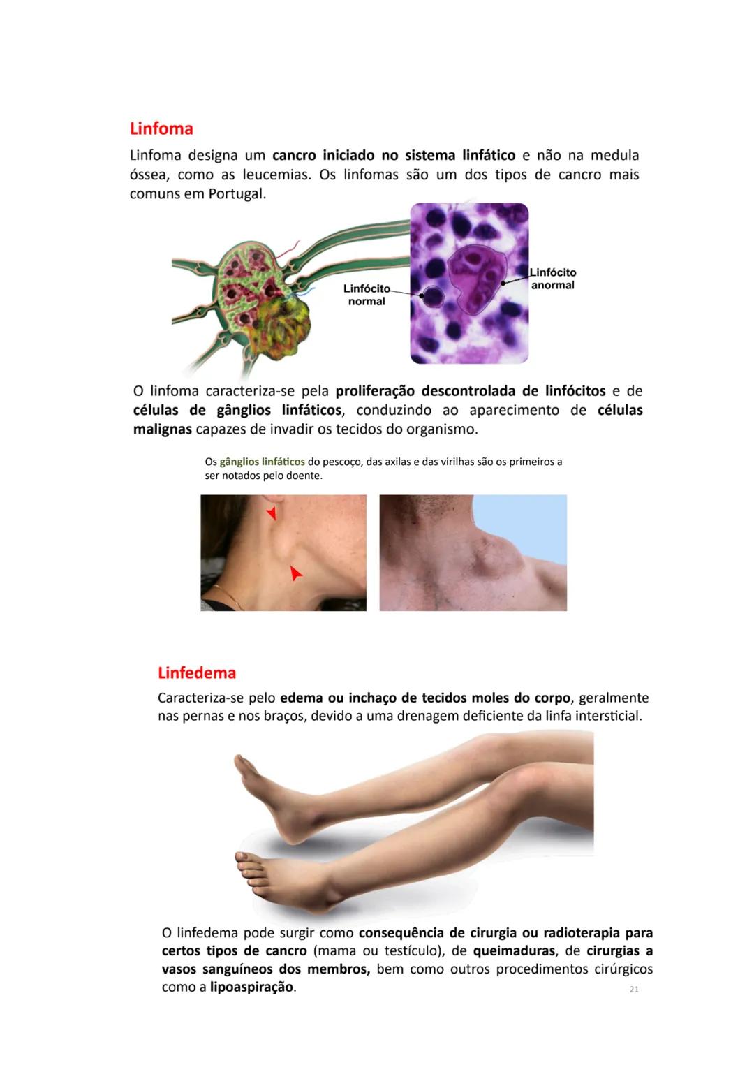 Sistema Cardiovascular
1. Identificar a constituição do sistema cardiovascular;
O sistema cardiovascular é composto pelo sangue, pelo coraç