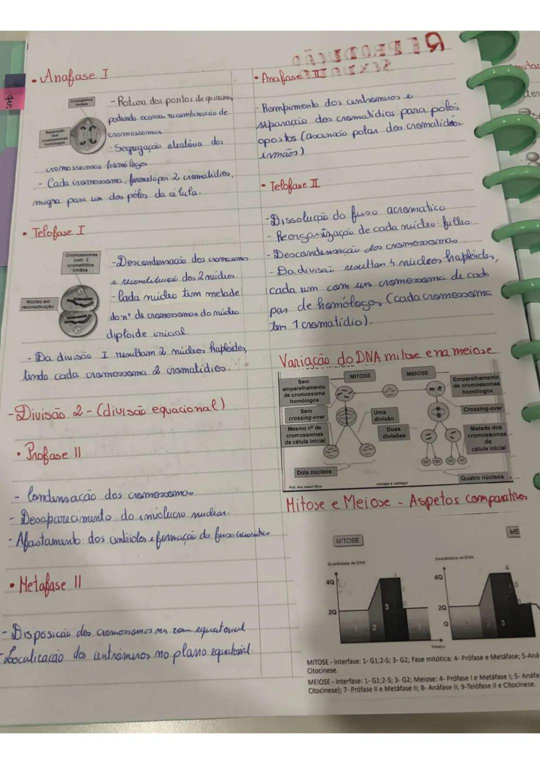 # REPRODUÇÃO
assexuda
Um unico organismo origina
outros geneticamente iguais que são seus
clones.
Baseia-se, num processo de divisão
celul