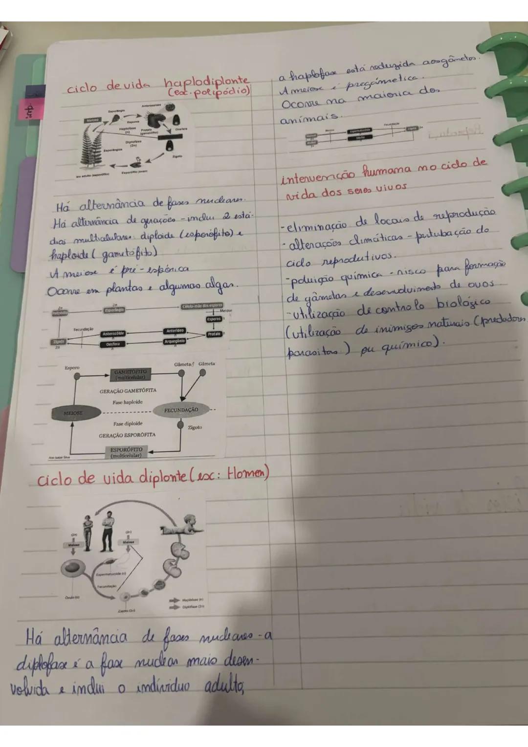 # REPRODUÇÃO
assexuda
Um unico organismo origina
outros geneticamente iguais que são seus
clones.
Baseia-se, num processo de divisão
celul