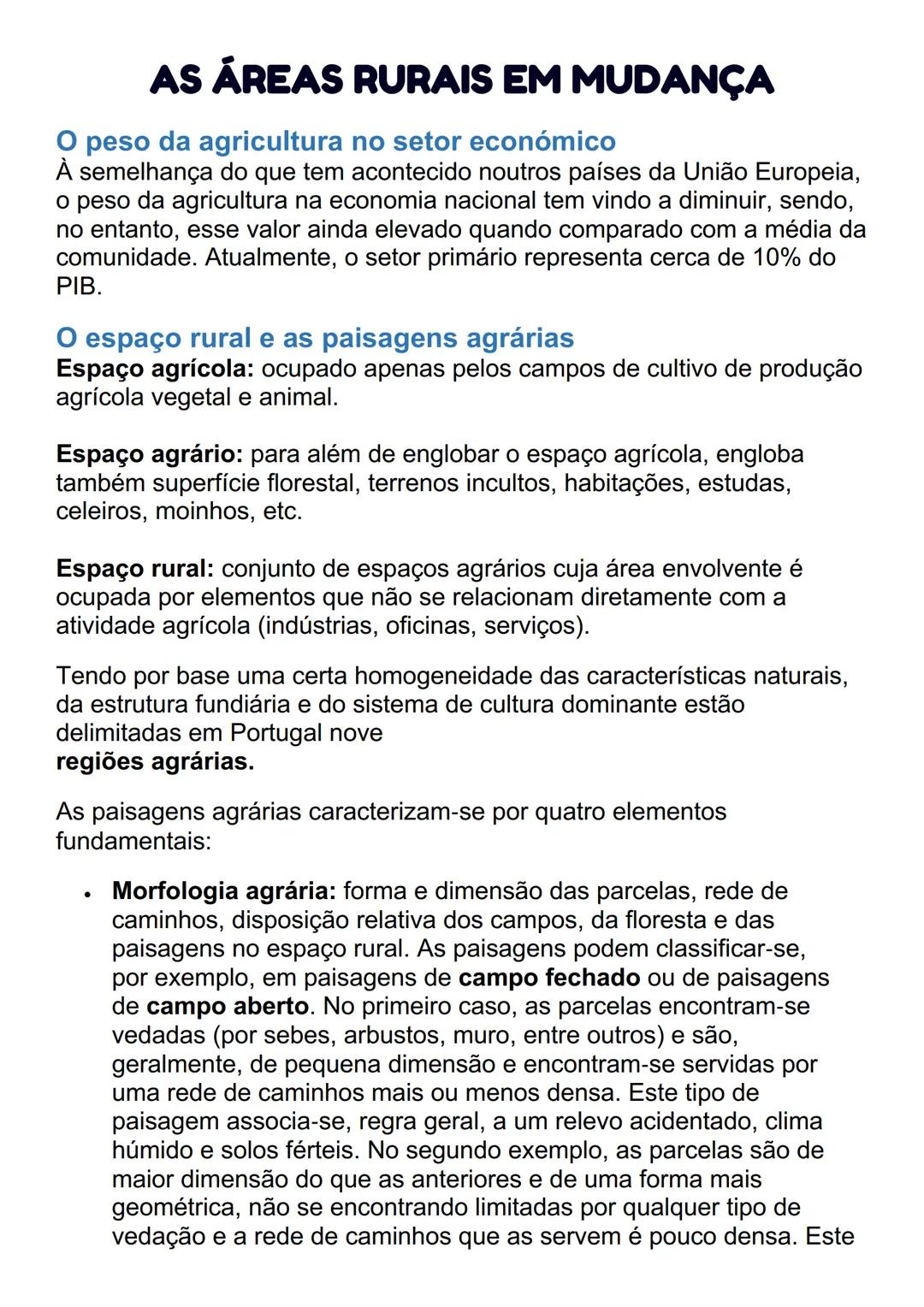 # AS ÁREAS RURAIS EM MUDANÇA
O peso da agricultura no setor económico
À semelhança do que tem acontecido noutros países da União Europeia,