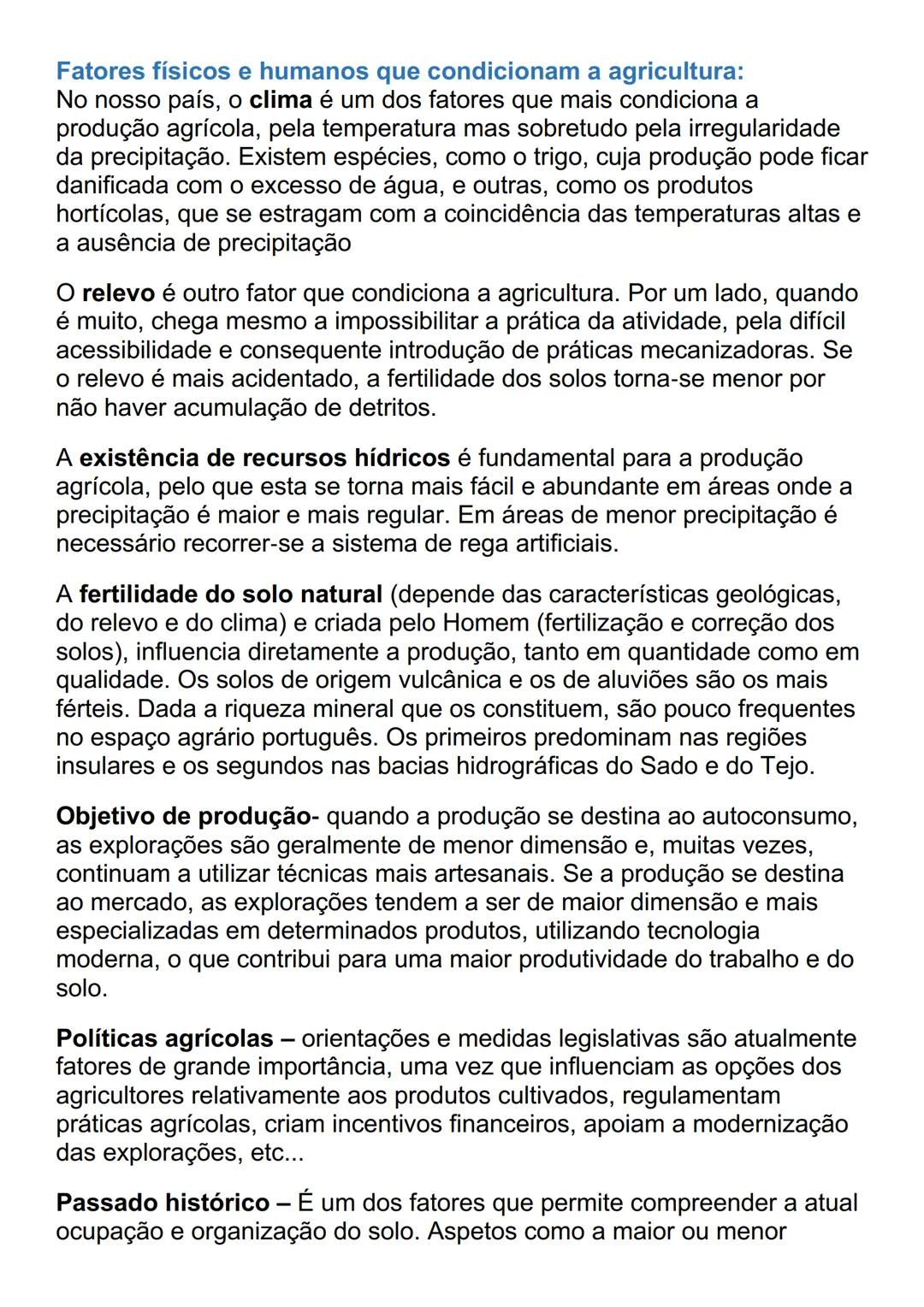 # AS ÁREAS RURAIS EM MUDANÇA
O peso da agricultura no setor económico
À semelhança do que tem acontecido noutros países da União Europeia,