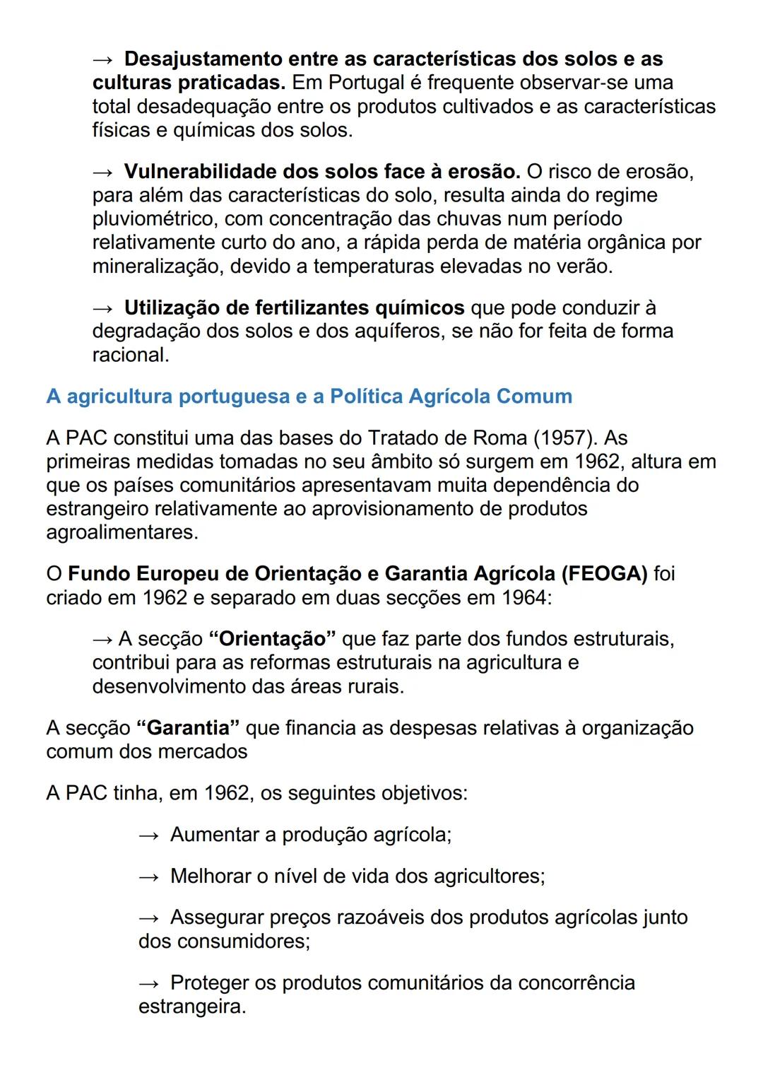 # AS ÁREAS RURAIS EM MUDANÇA
O peso da agricultura no setor económico
À semelhança do que tem acontecido noutros países da União Europeia,