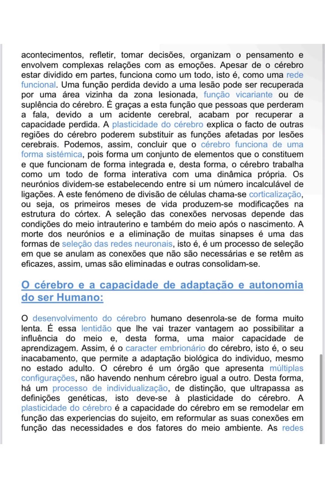 # GENÉTICA
Agentes responsáveis pela transmissão genética
Hereditariedade: conjunto de processos biológicos que presidem à
transmissão das