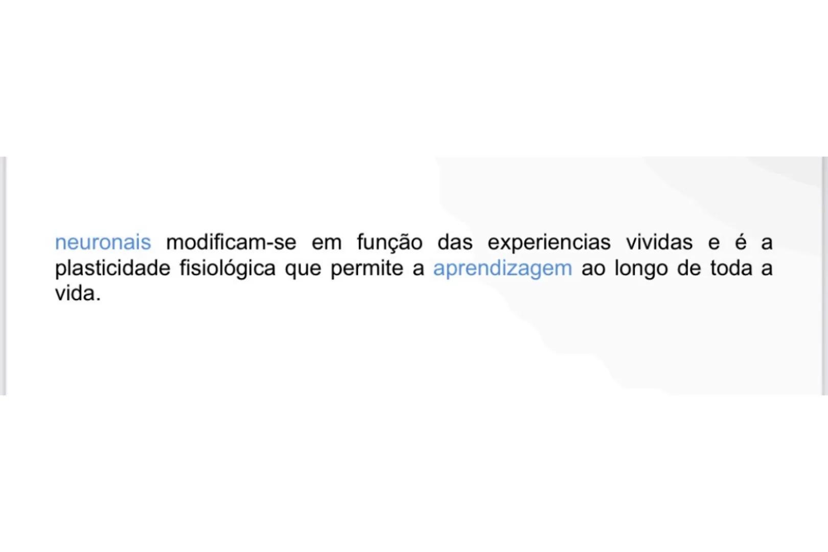# GENÉTICA
Agentes responsáveis pela transmissão genética
Hereditariedade: conjunto de processos biológicos que presidem à
transmissão das