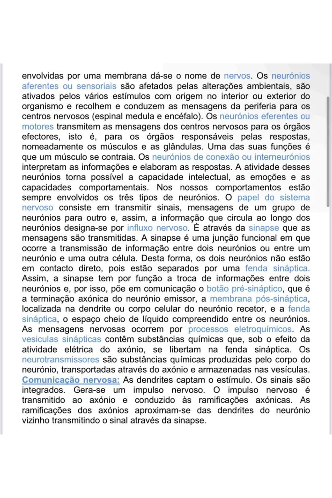 # GENÉTICA
Agentes responsáveis pela transmissão genética
Hereditariedade: conjunto de processos biológicos que presidem à
transmissão das