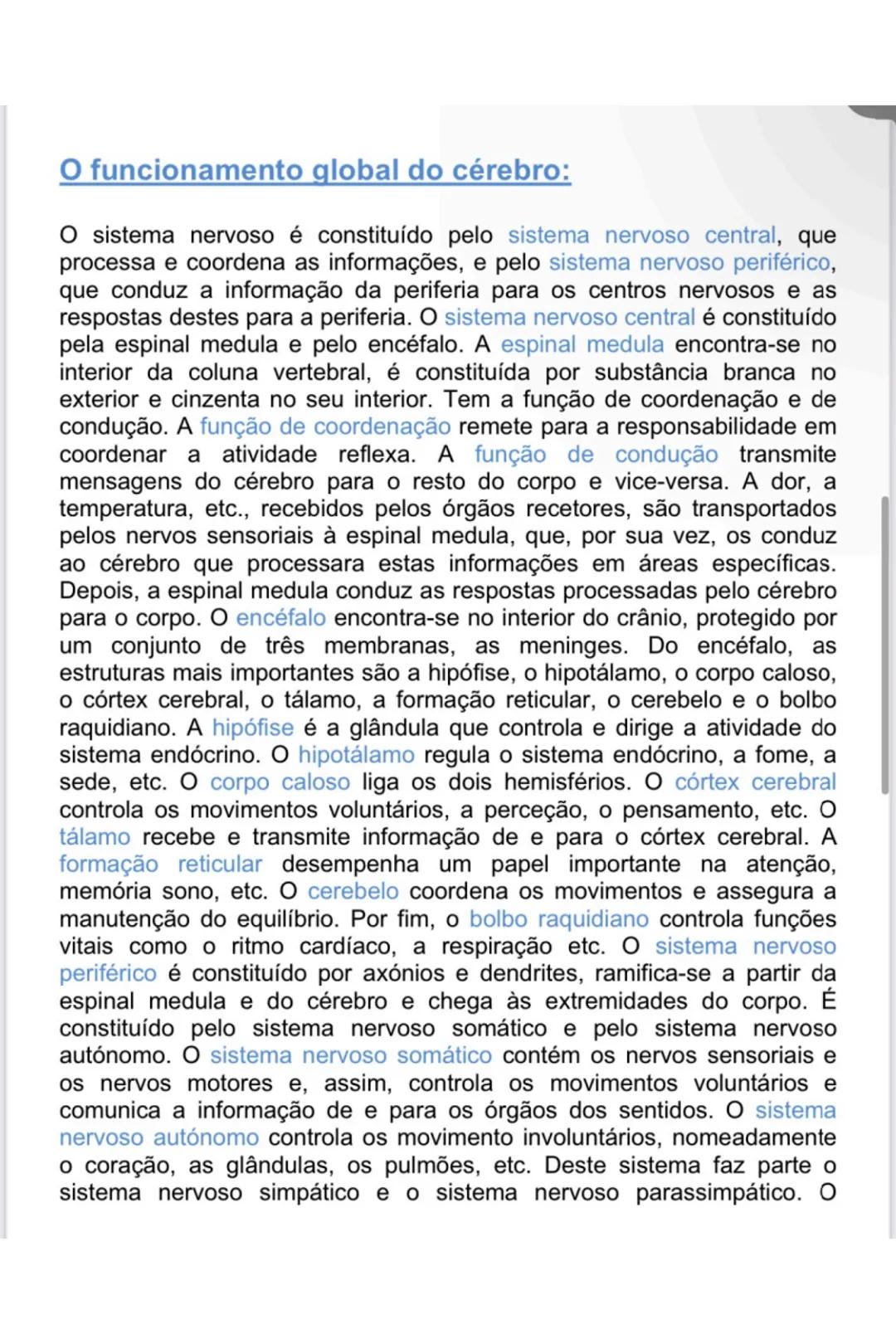 # GENÉTICA
Agentes responsáveis pela transmissão genética
Hereditariedade: conjunto de processos biológicos que presidem à
transmissão das