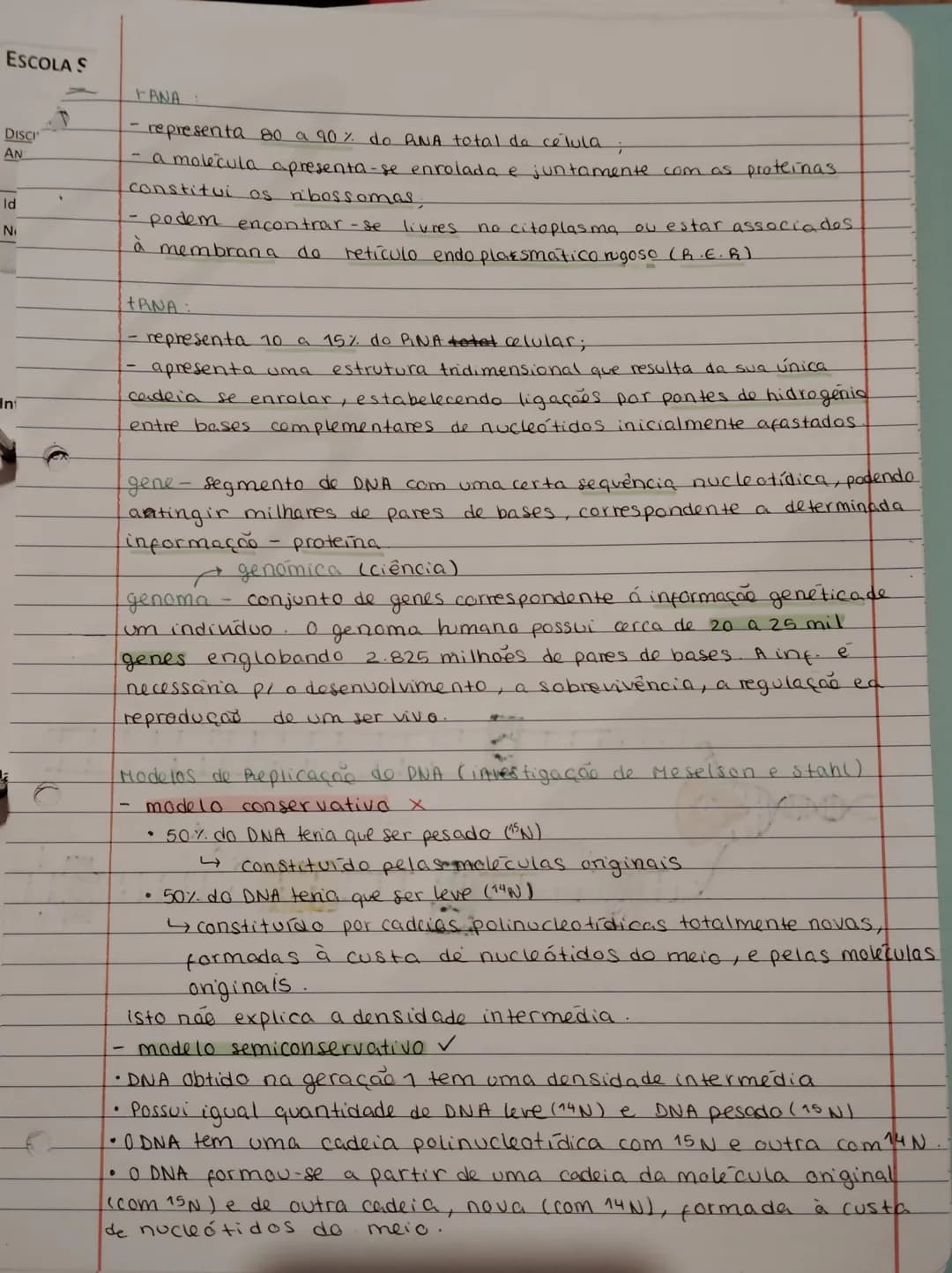 DNA e RNA – página 3
