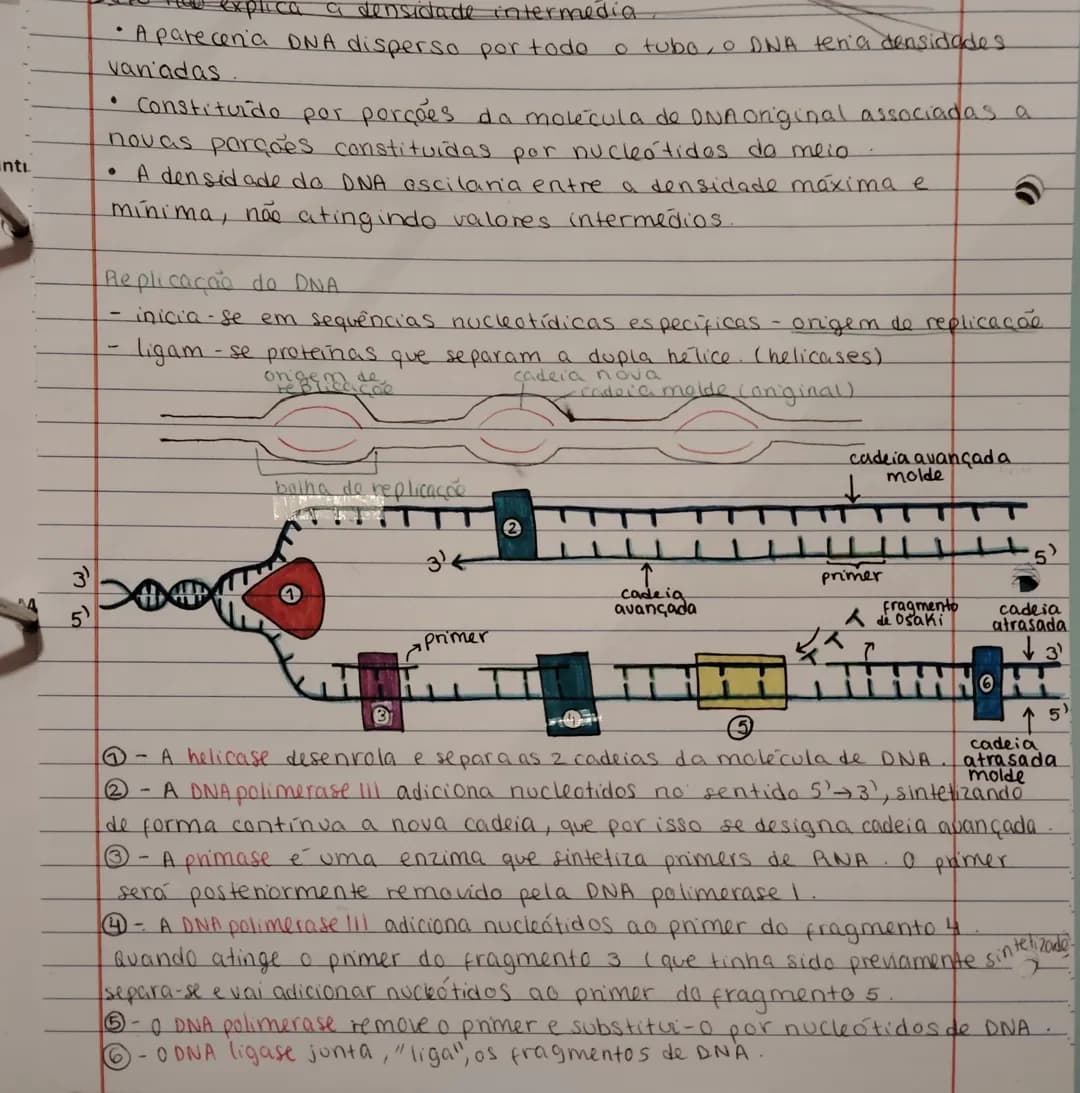 DNA e RNA – página 4